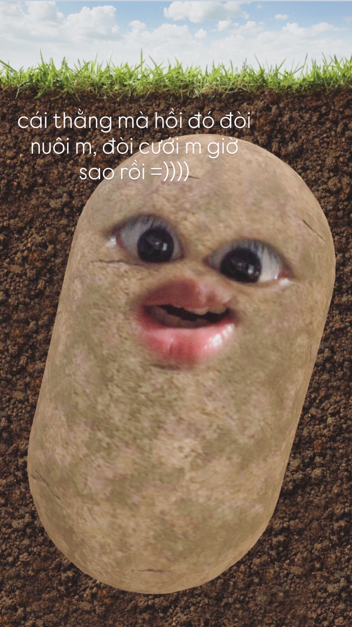 @ywwwwwwn