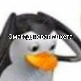 @Векси. [any pronouns]