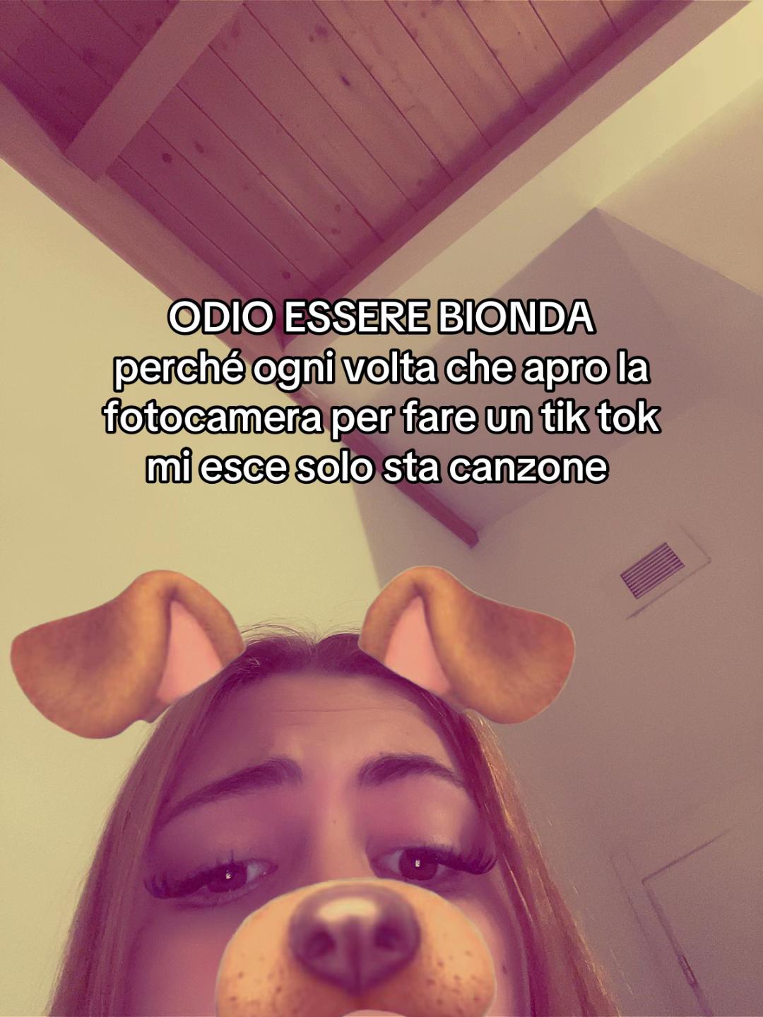 @camii