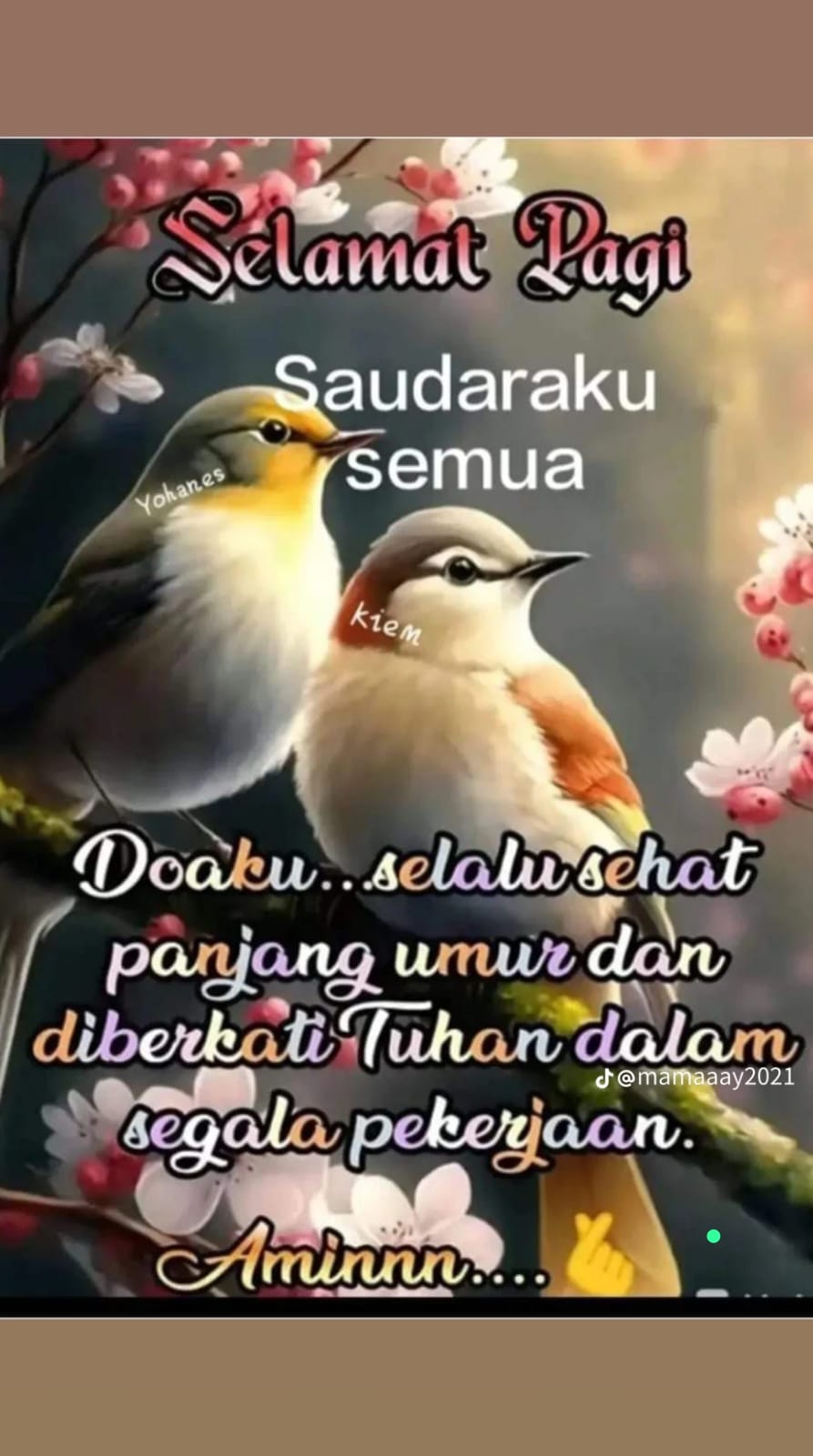 @user61549937064