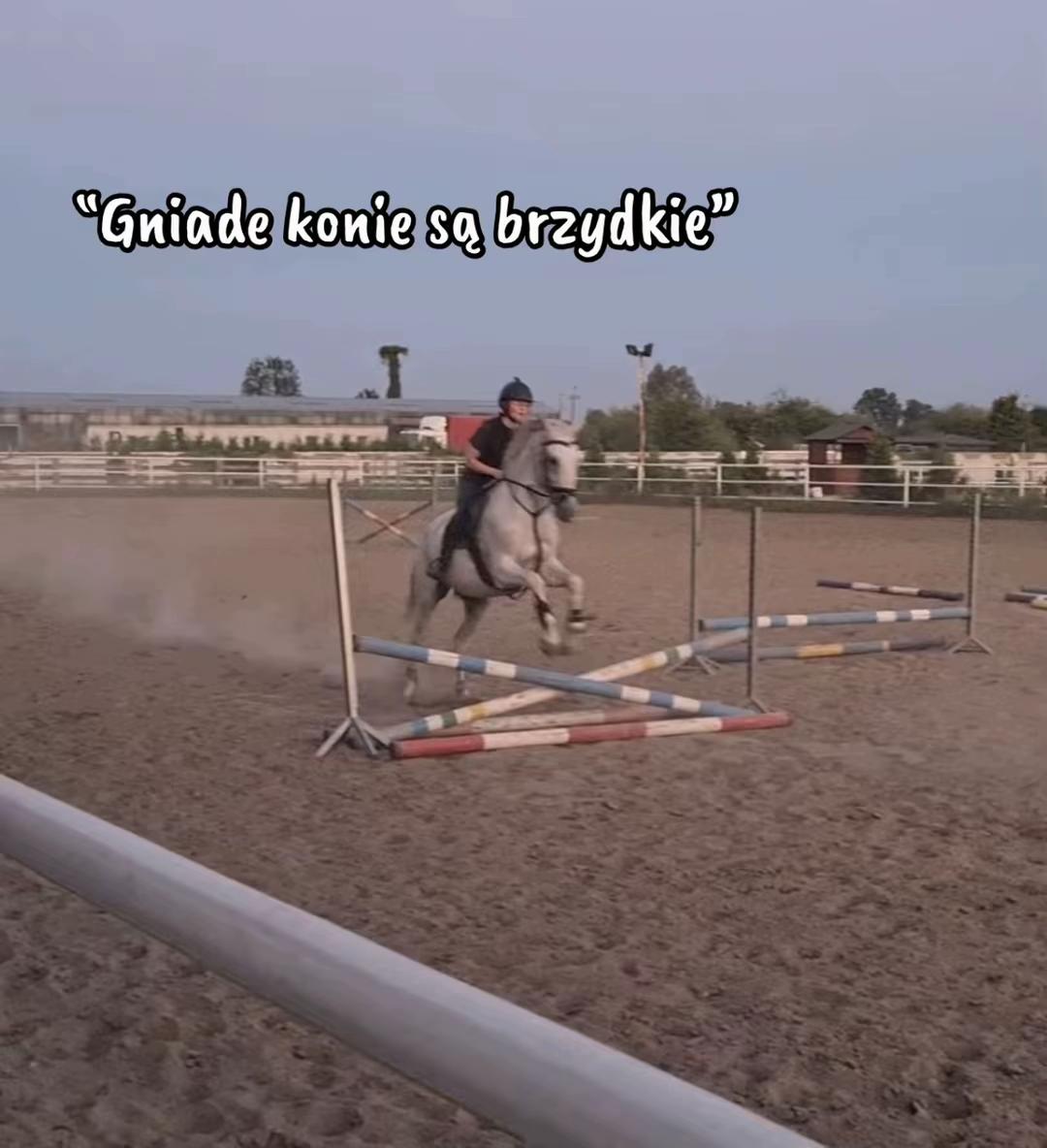 @zofka_eq
