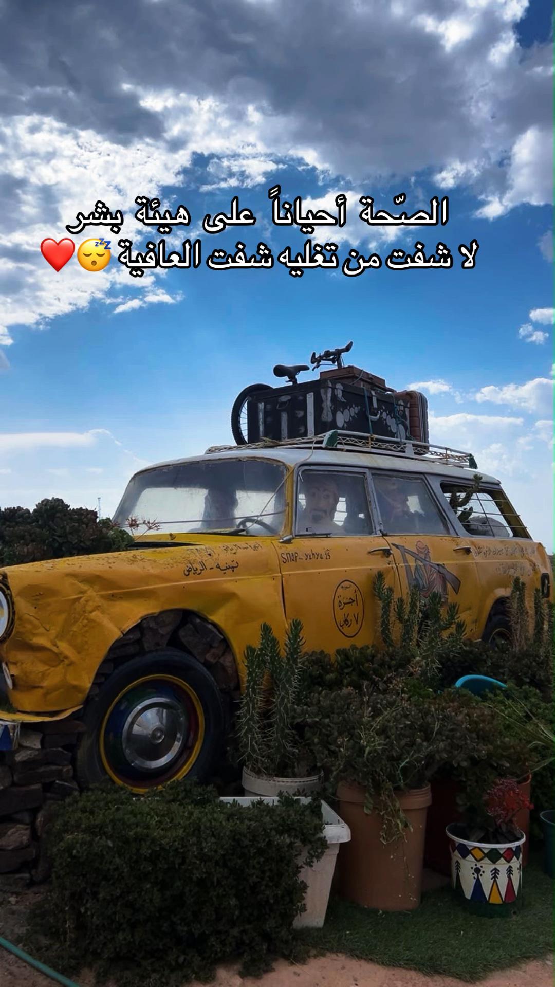 @شوق الشيباني 𓃴♡: