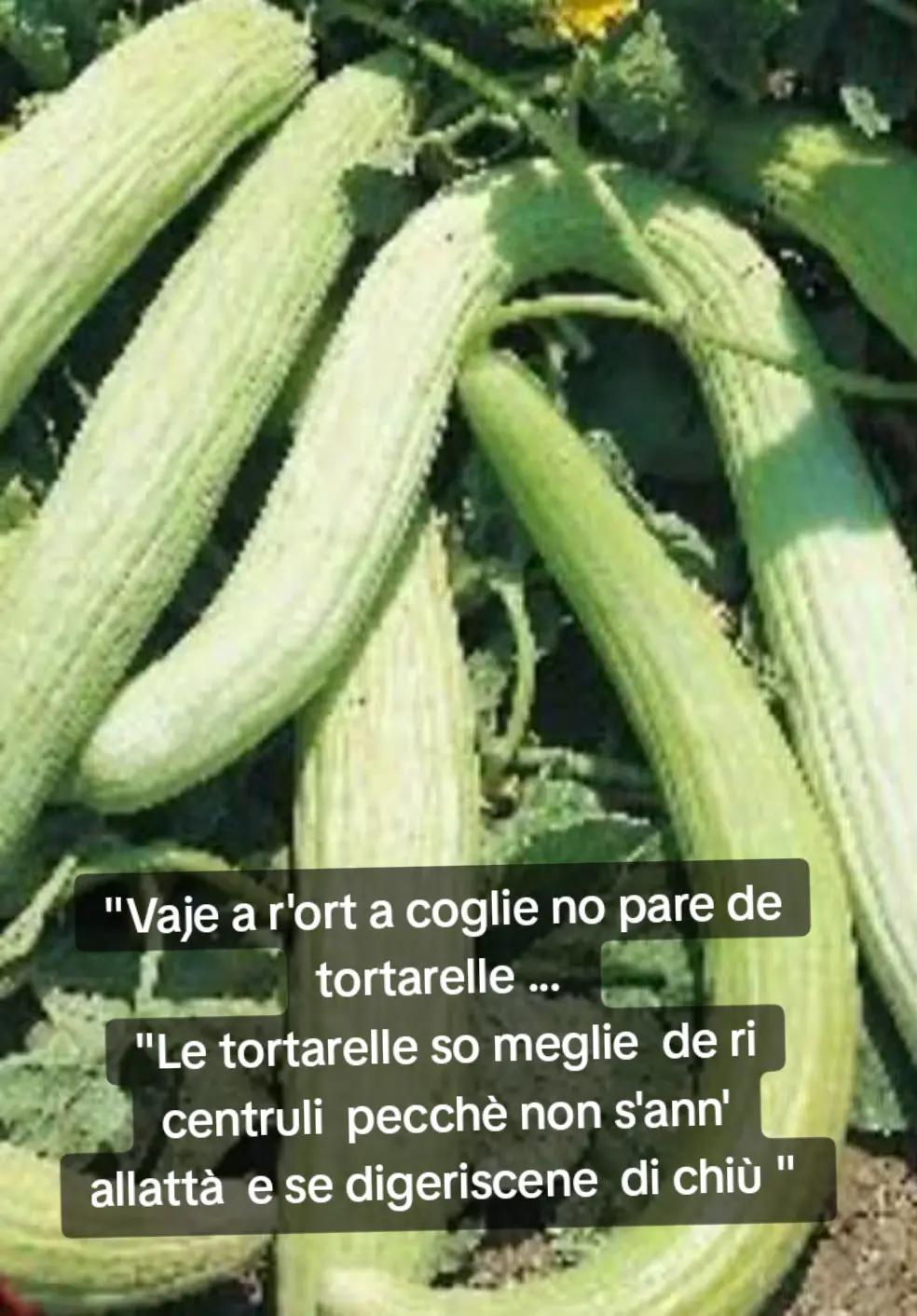 @ELE..meglio folli che noiosi
