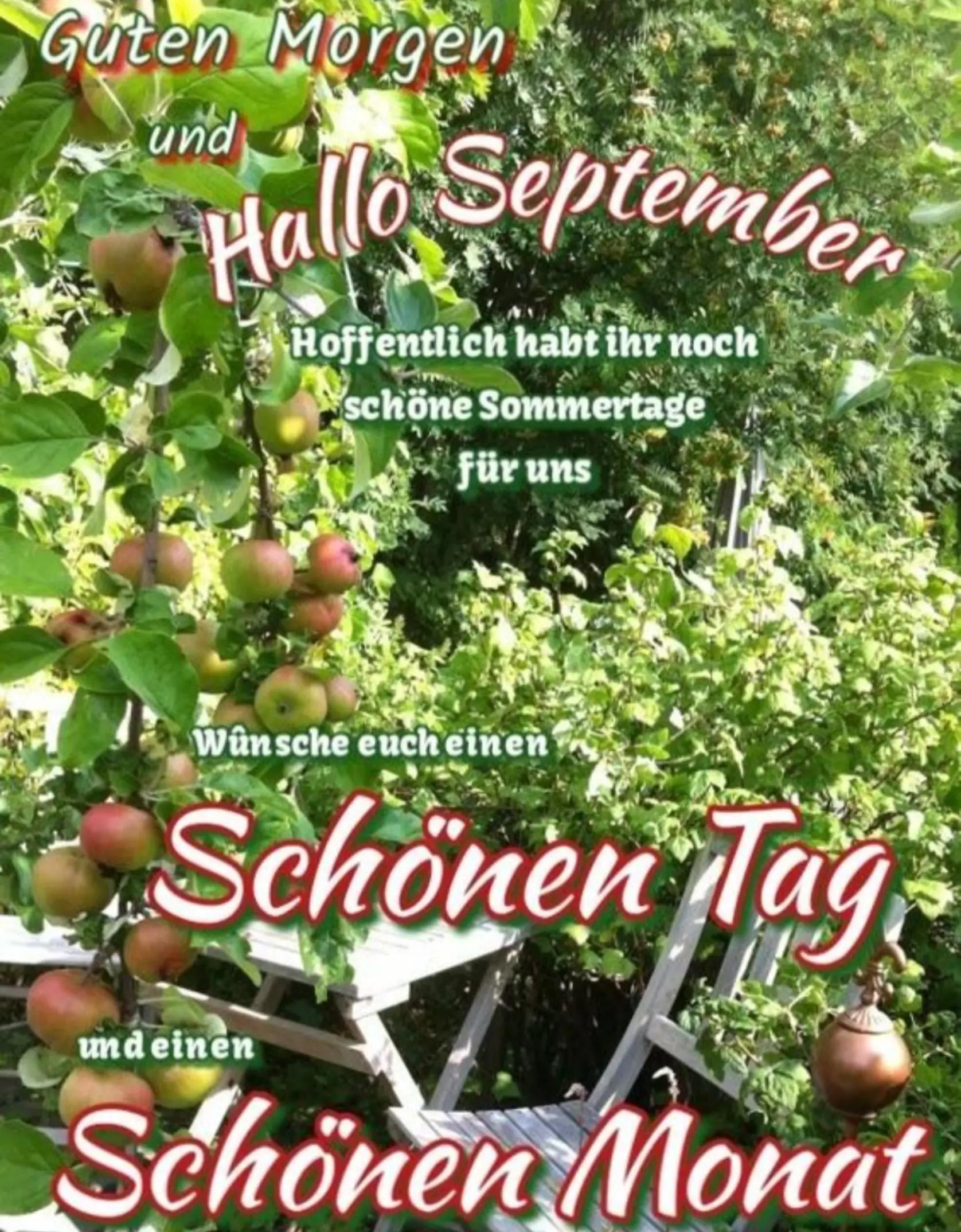 @ICH BIN EUER GUTE LAUNE MENSCH