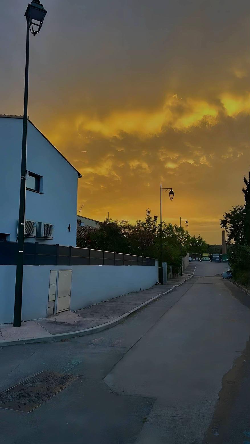 @✨ 𝐅𝐀𝐔𝐒𝐖𝐈𝐄 ✨
