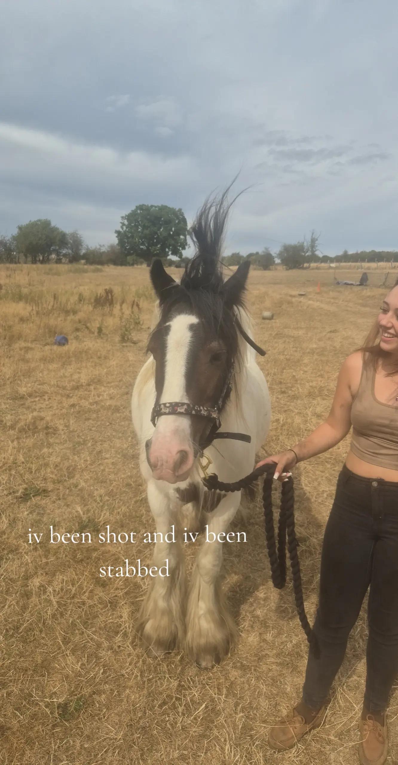 @m.scott 🐄🤠