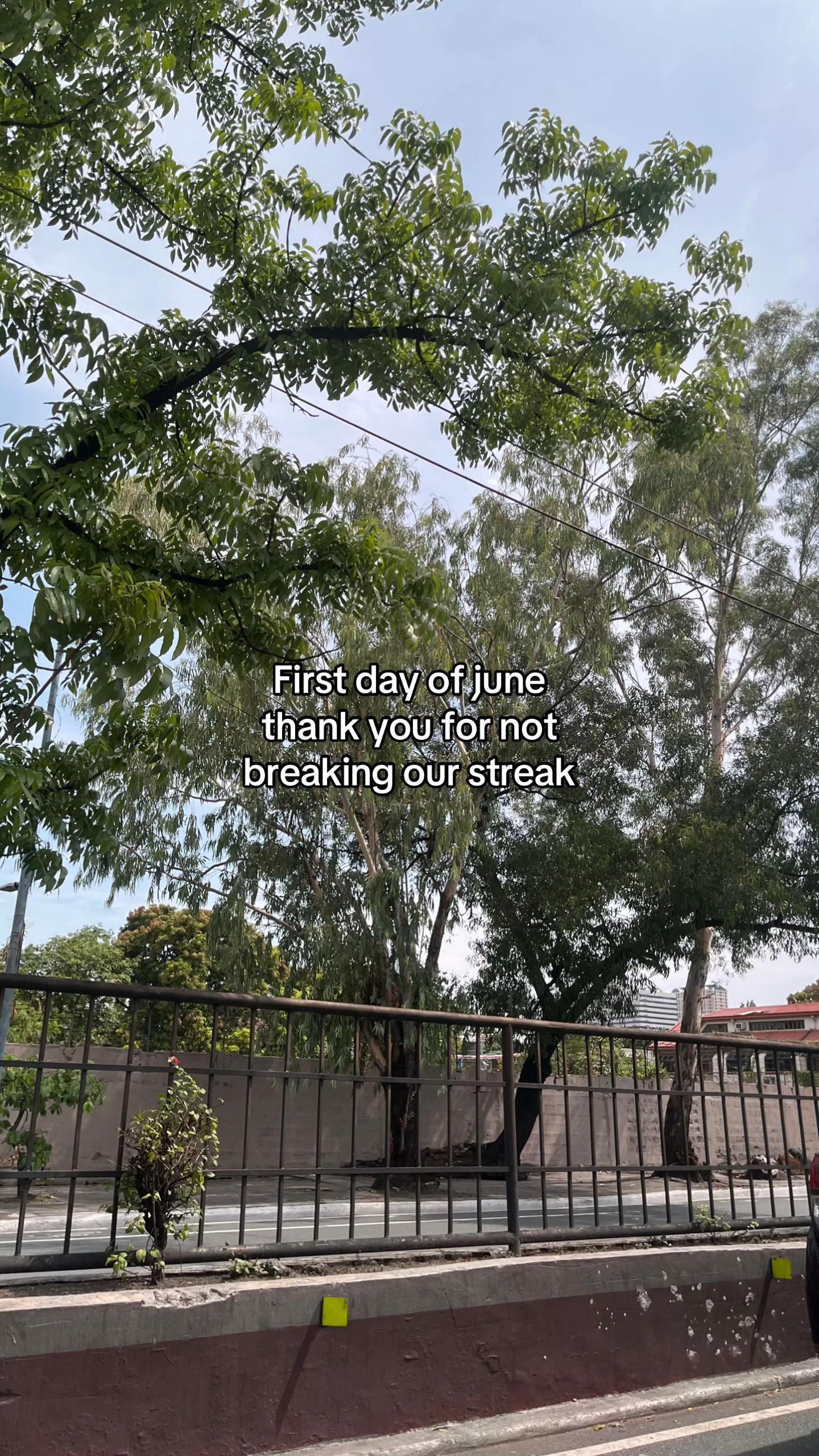 @⋆˚𝜗𝜚˚⋆
