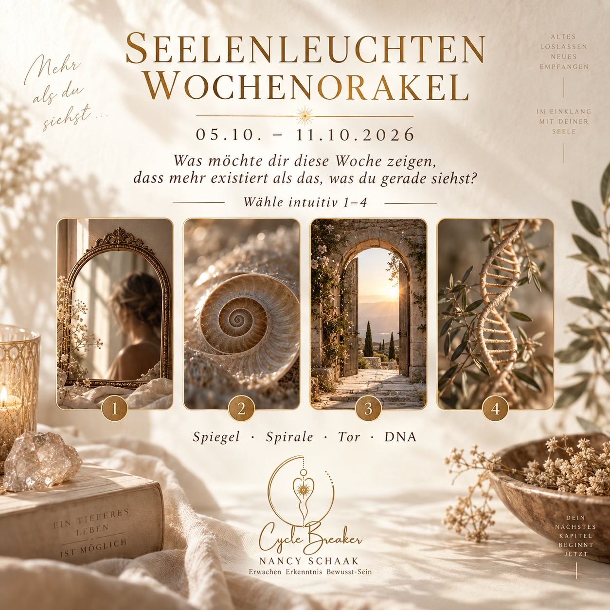 @Nancy_Schaak