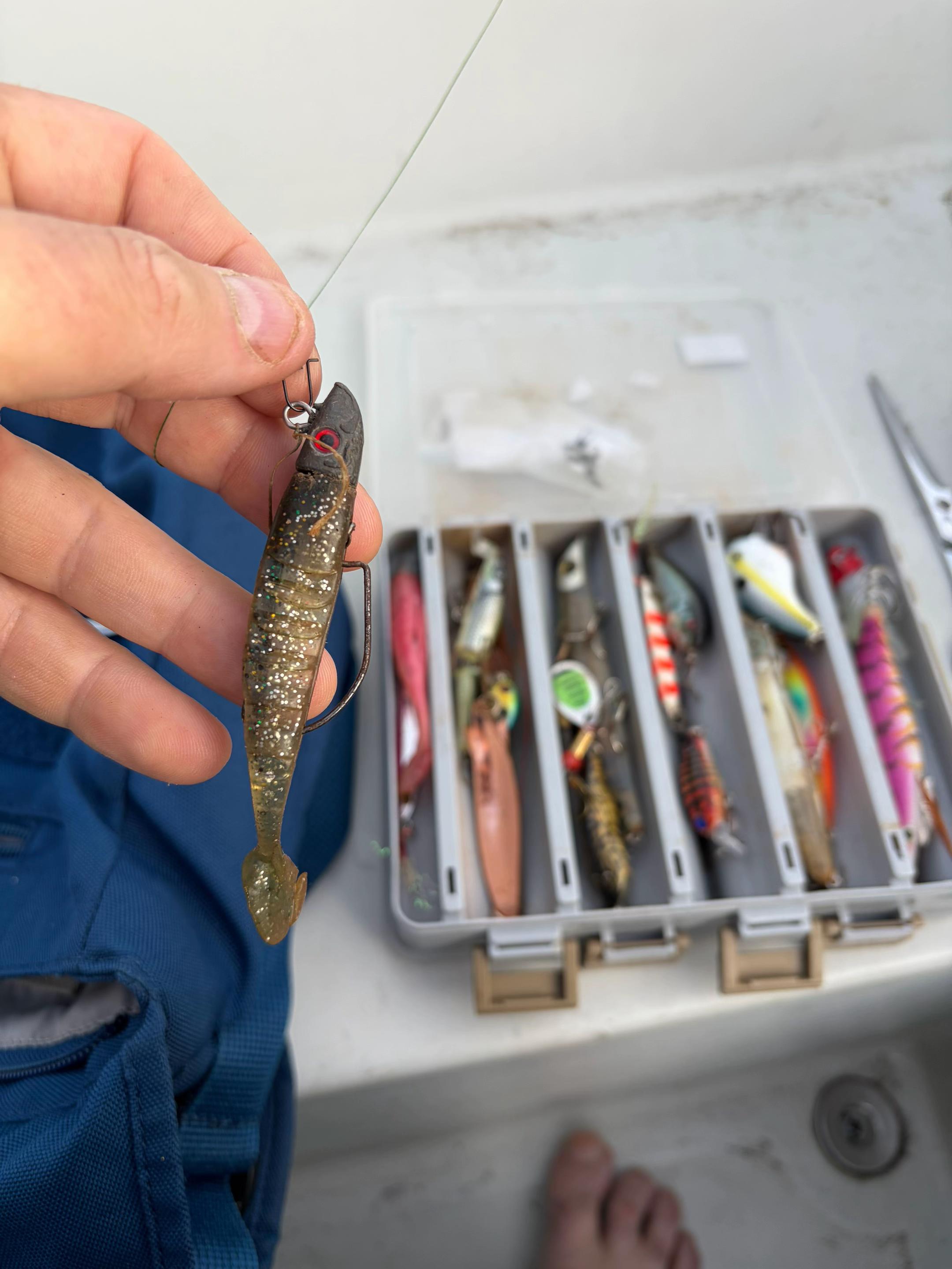 @Mental elf fishin