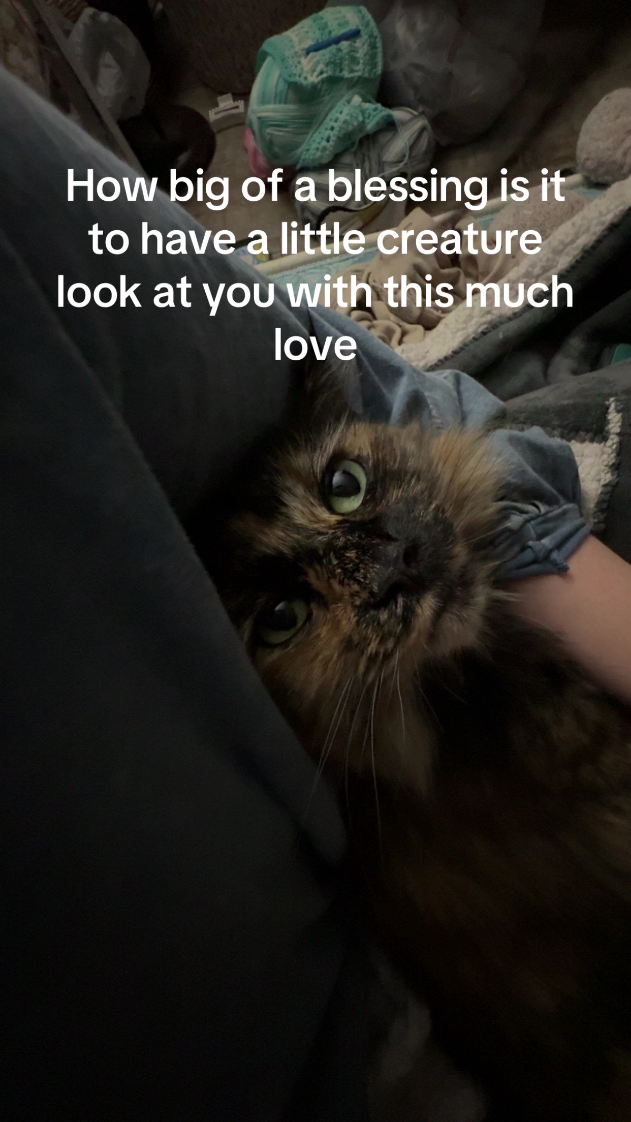 @Jo