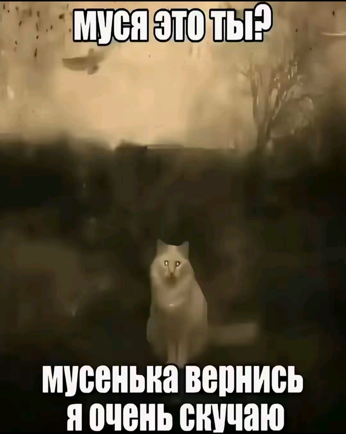 @⚔️ ᛠᛊᛖᚤ🪖