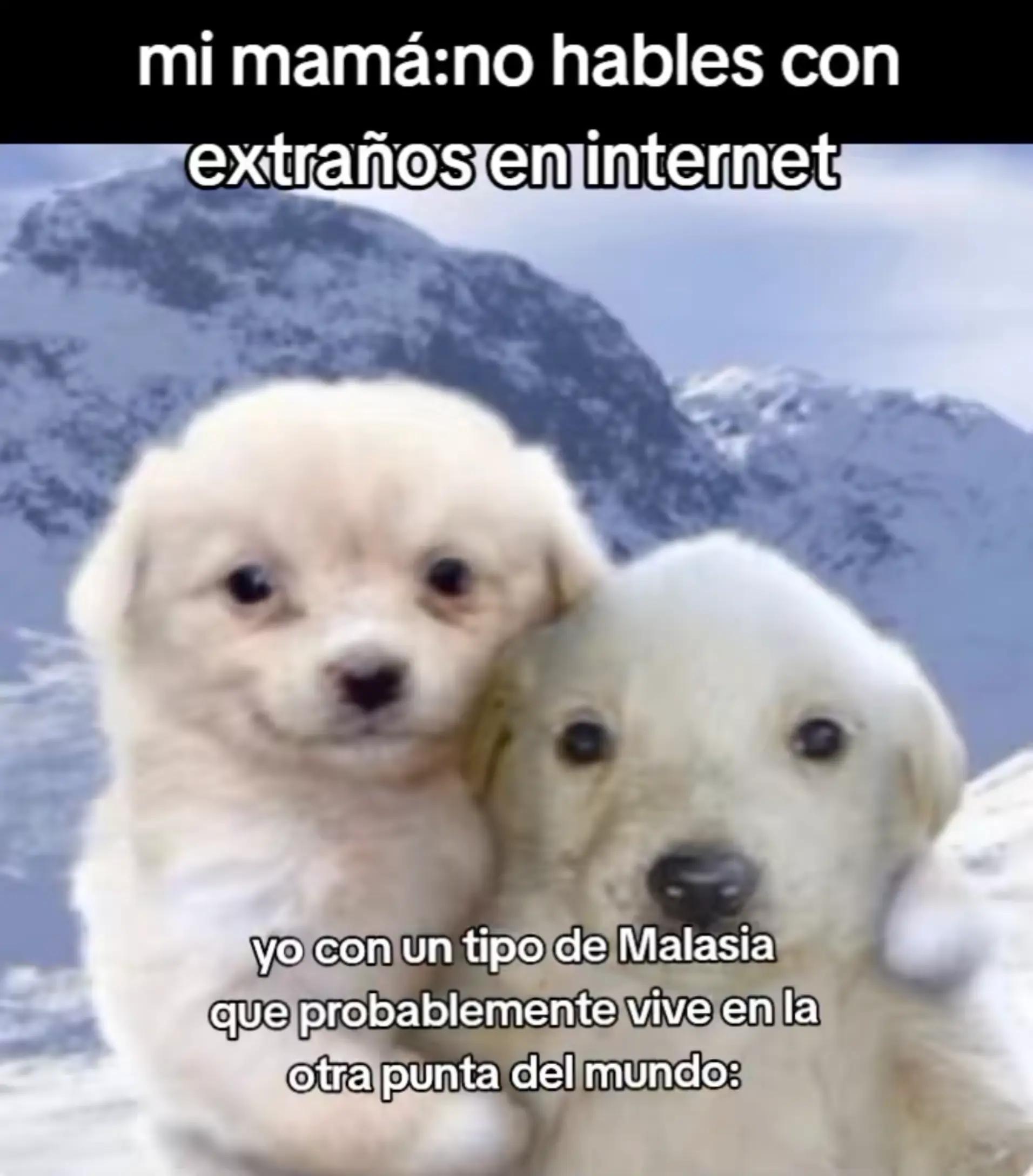 @𝐌𝐜𝐋𝐨𝐯𝐢𝐧