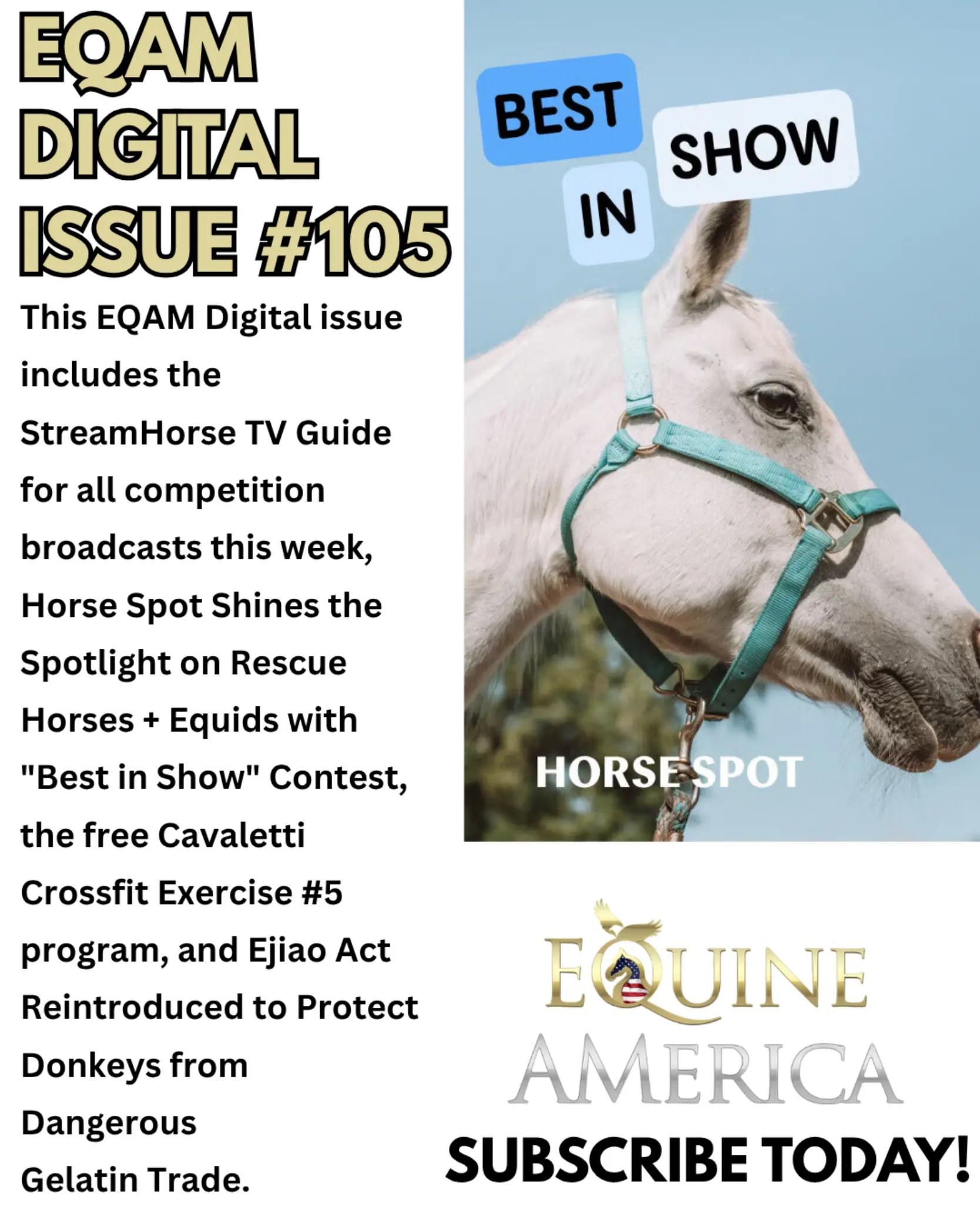 @streamhorse