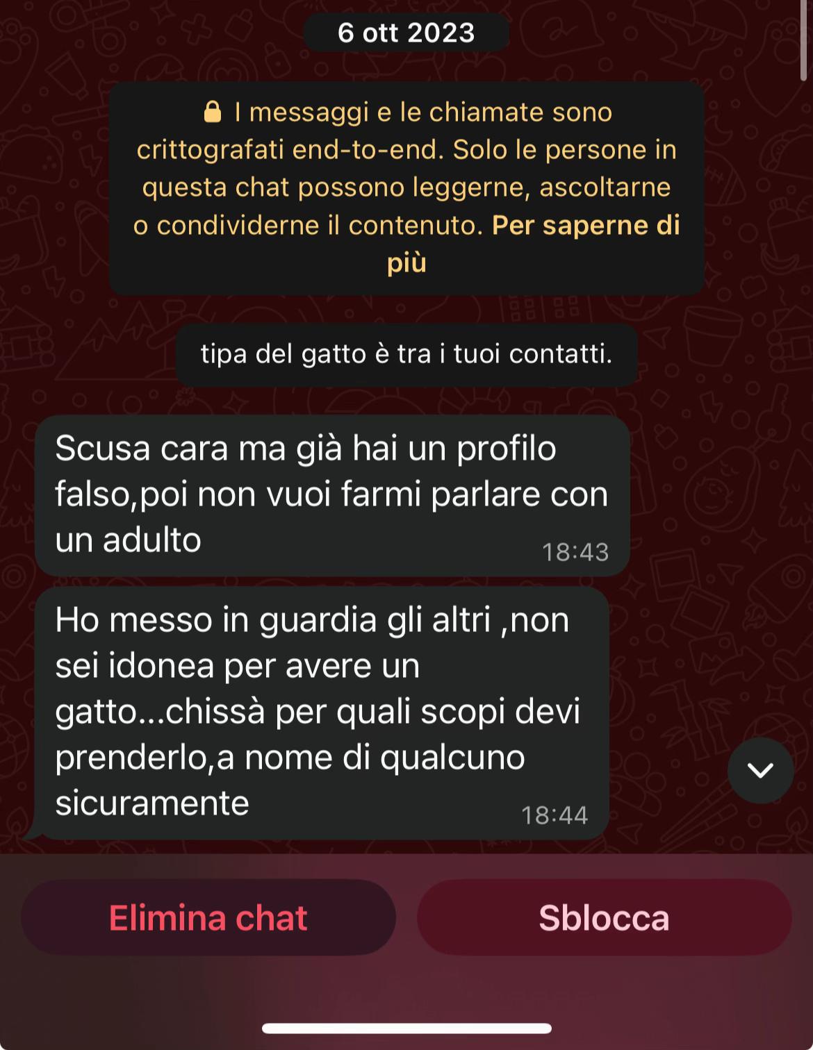 @lasagna