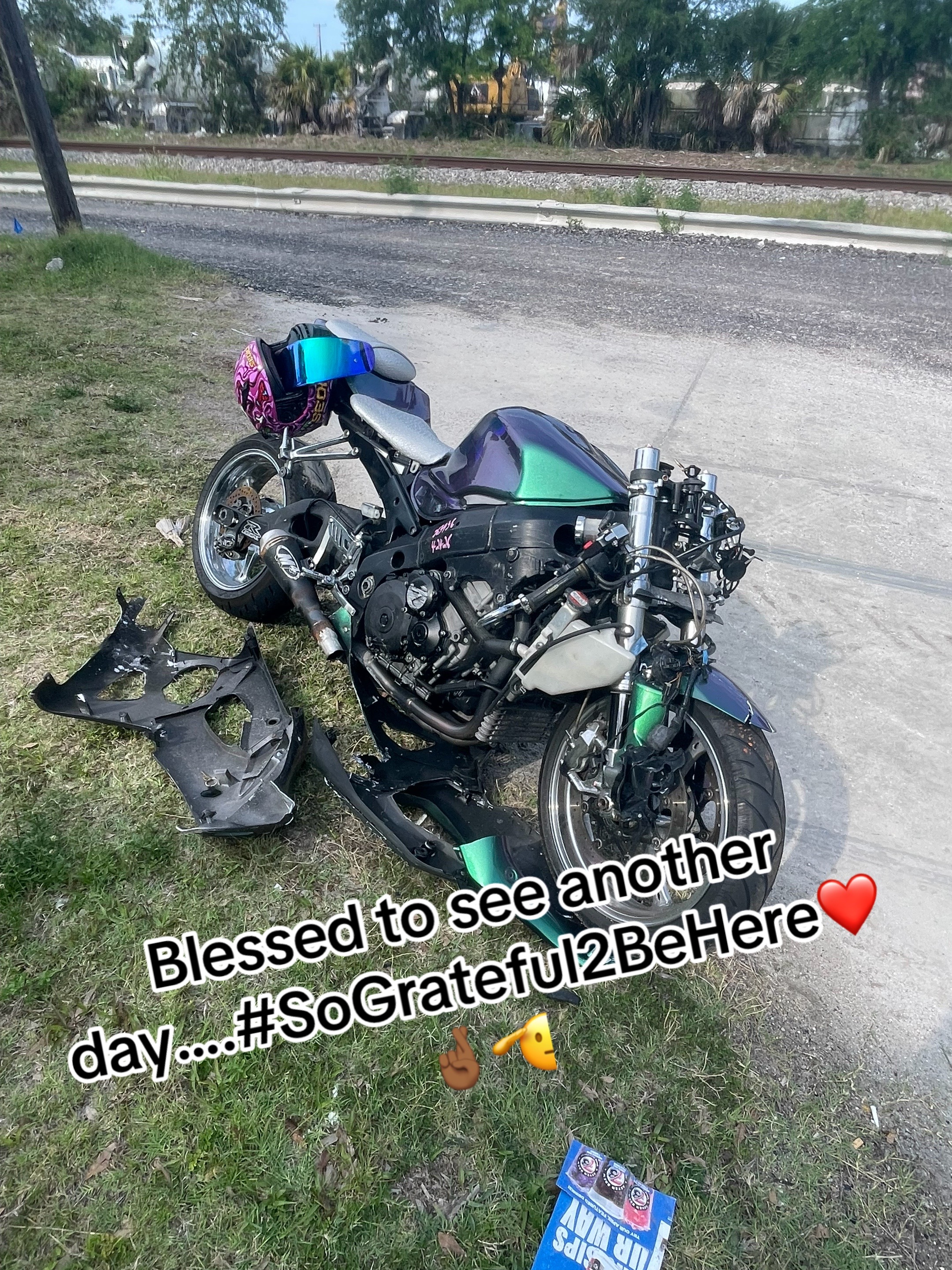 @scatpack_rico