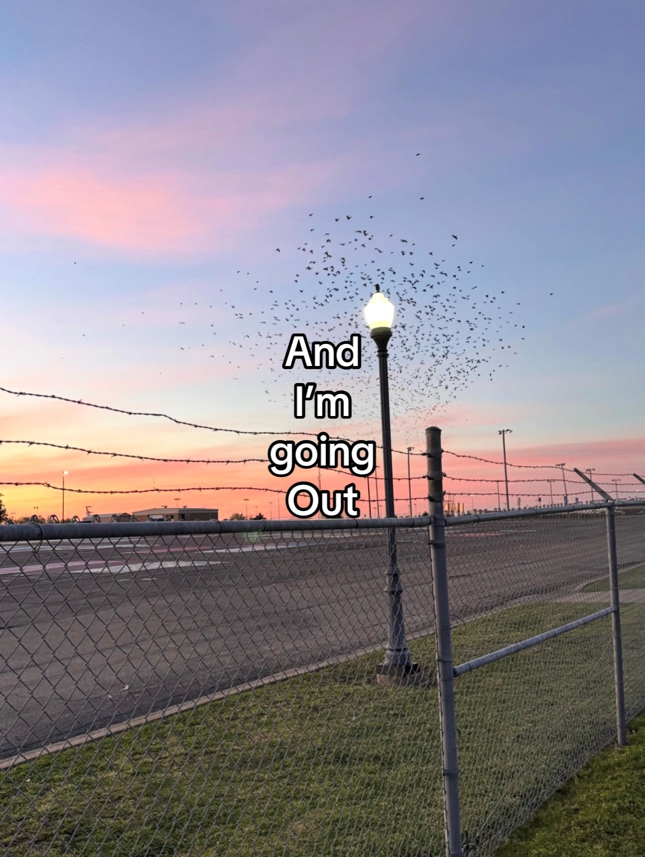 @Dillon