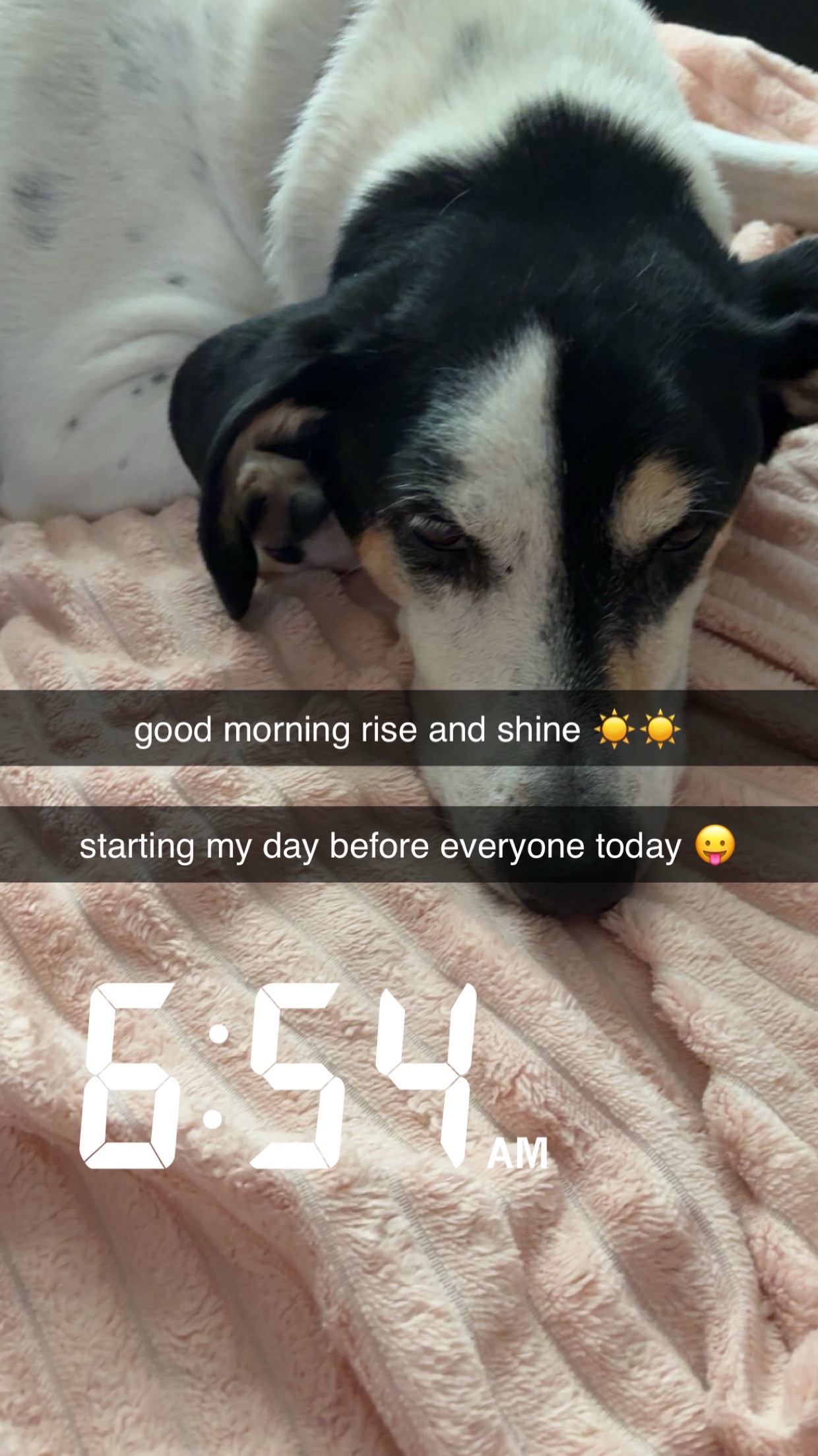 @maddie🦄🦄