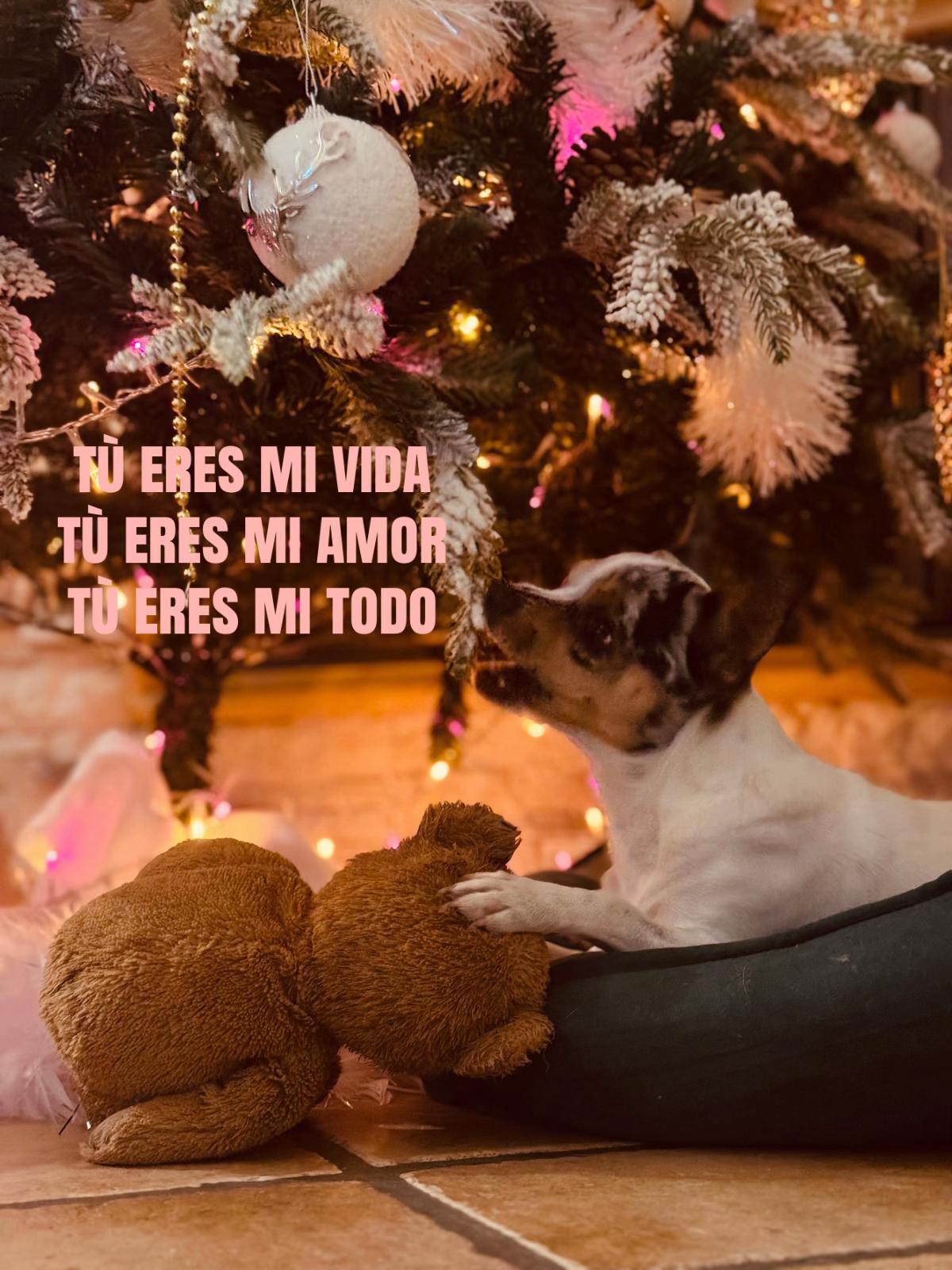 @ana_spamm