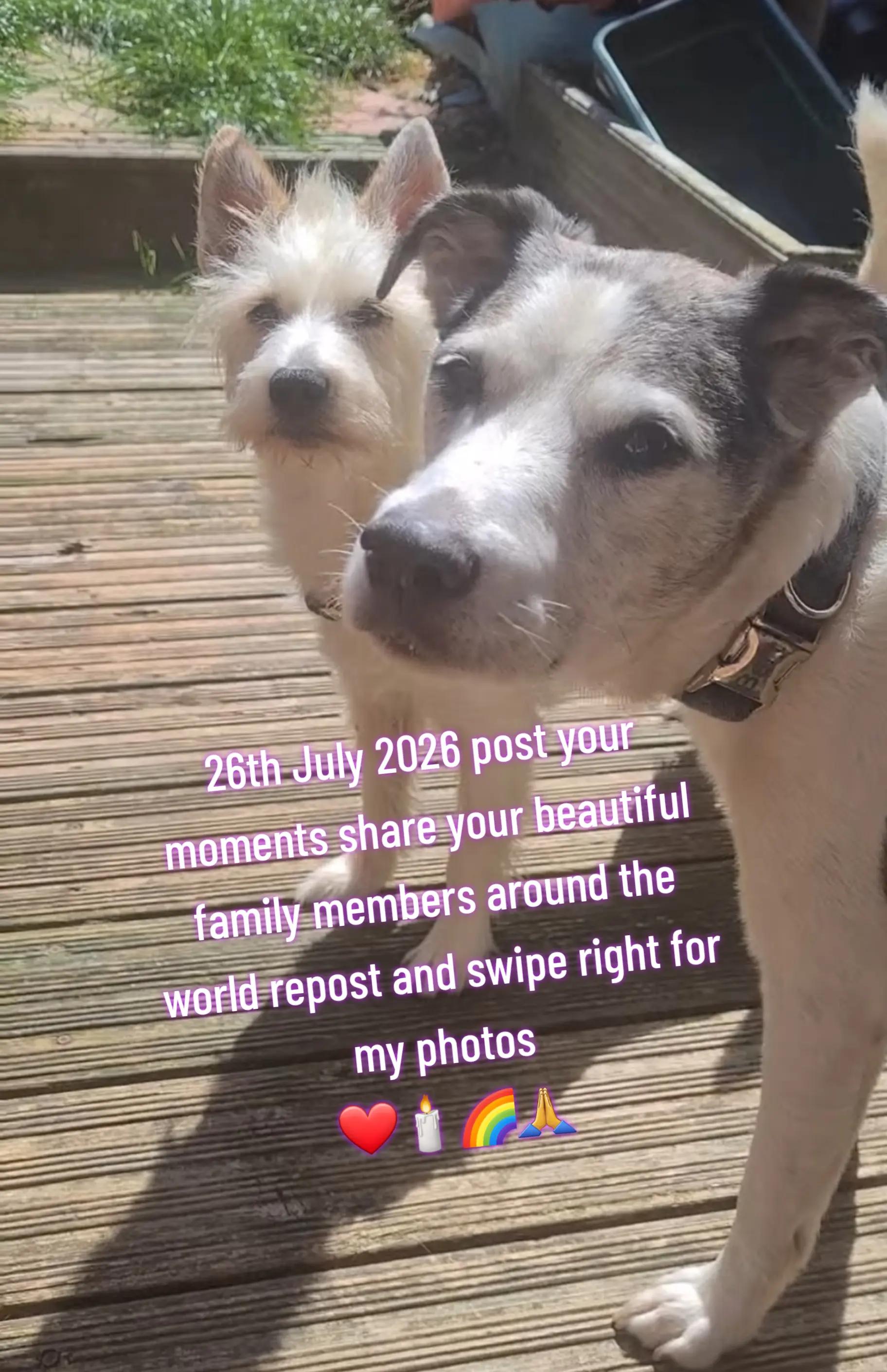 @claire🌈bellaBert Ernie💙Tonks