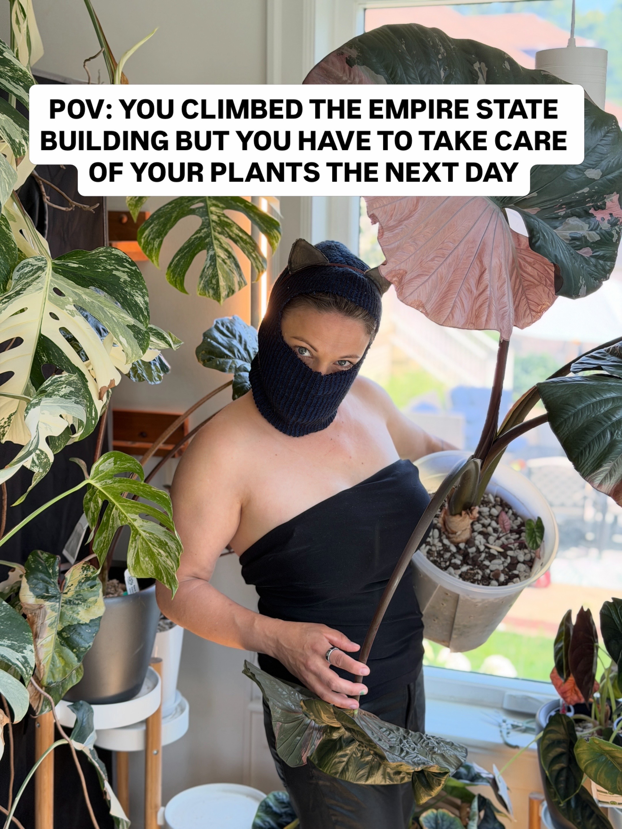 @alltheplantbabies
