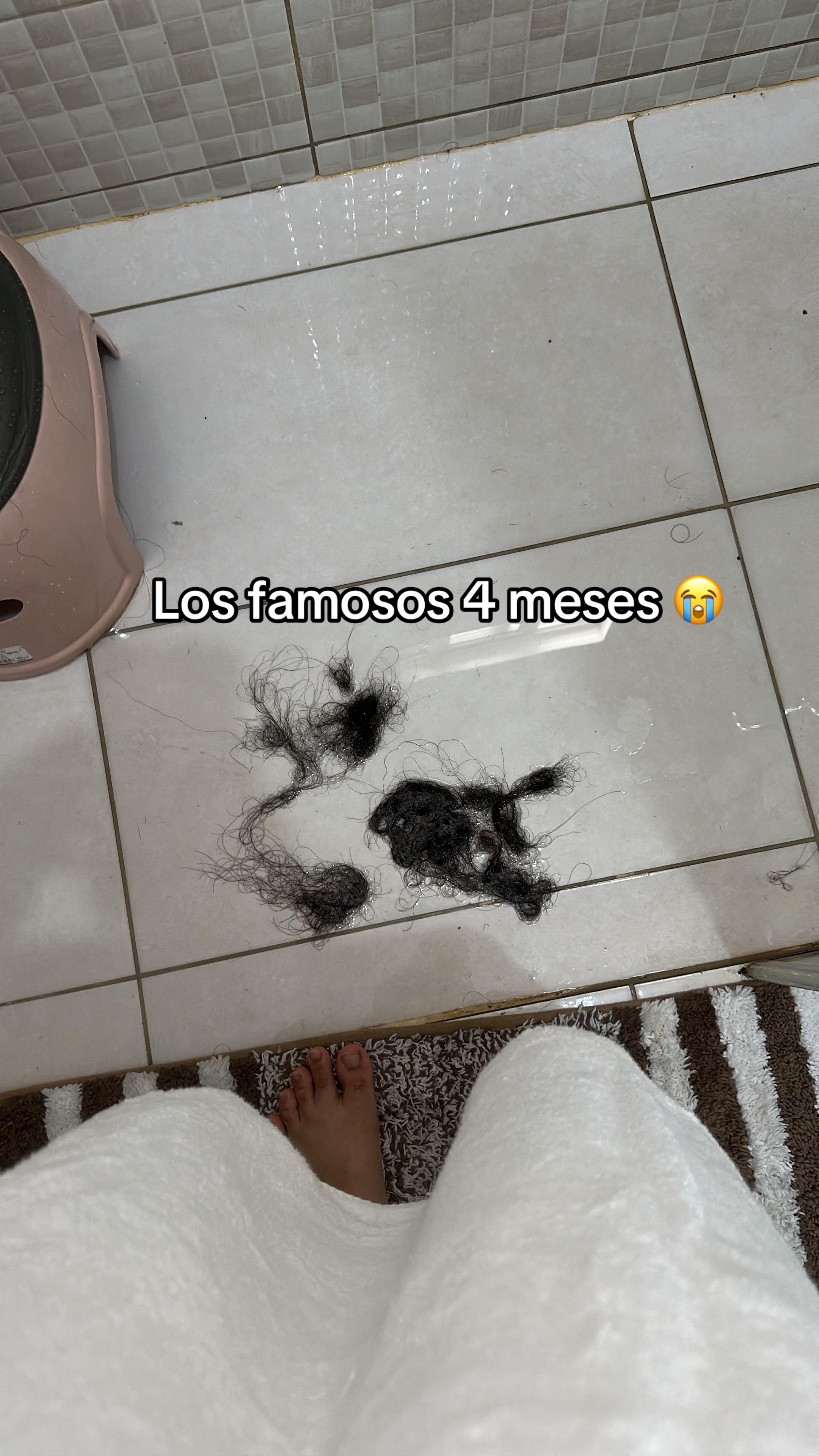 @Alaysha_jrc🐩