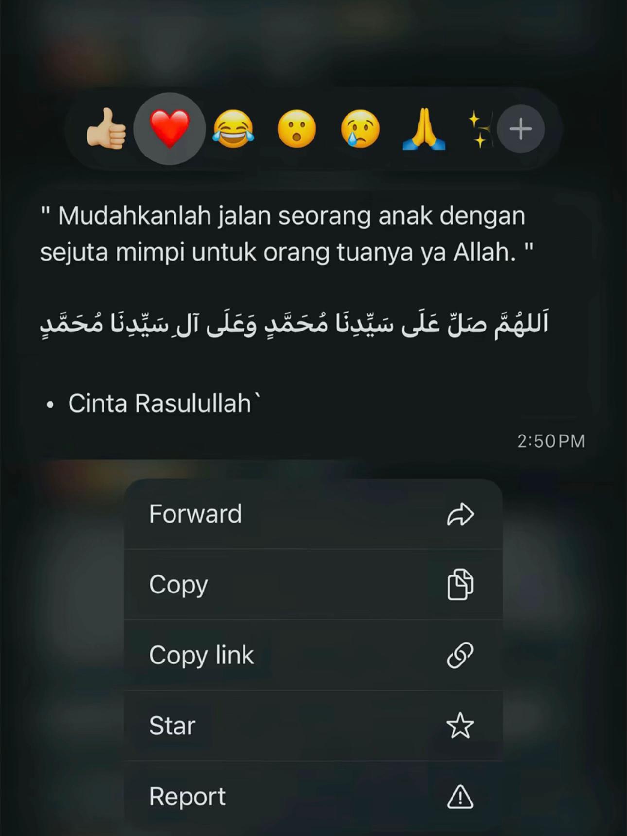 @﮼اليف