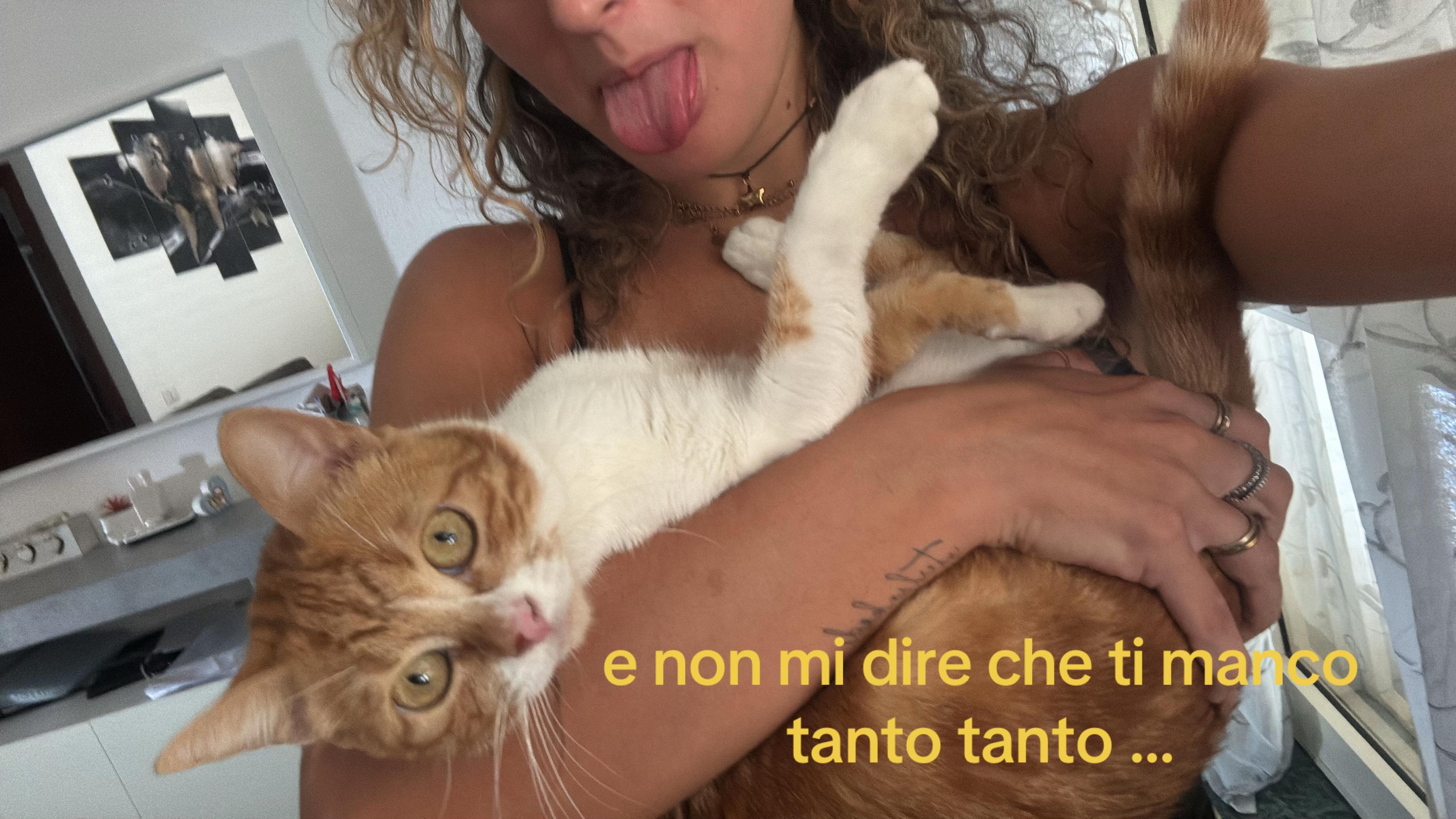 @asia parlato