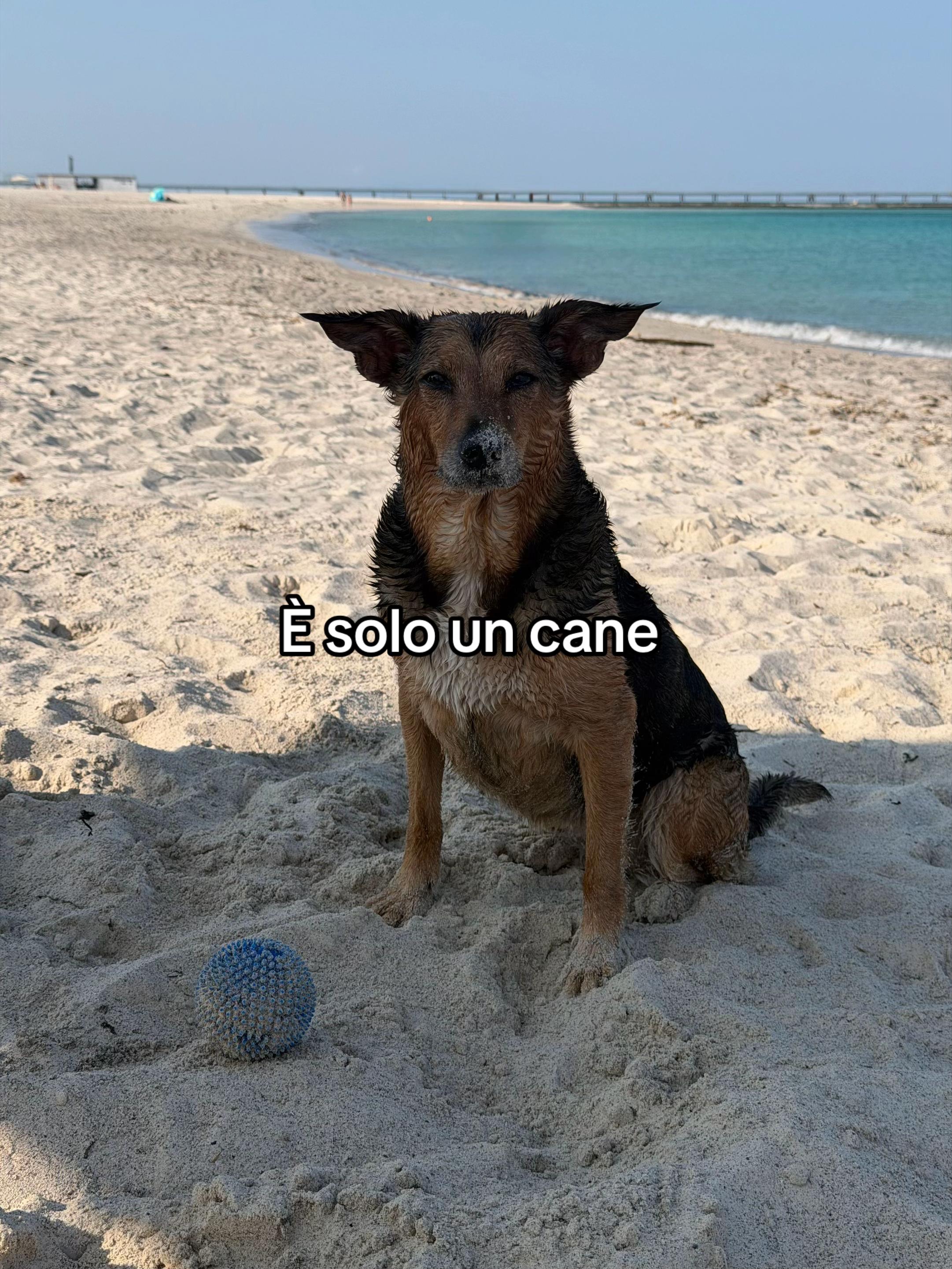 @Fra_le_nuvole_
