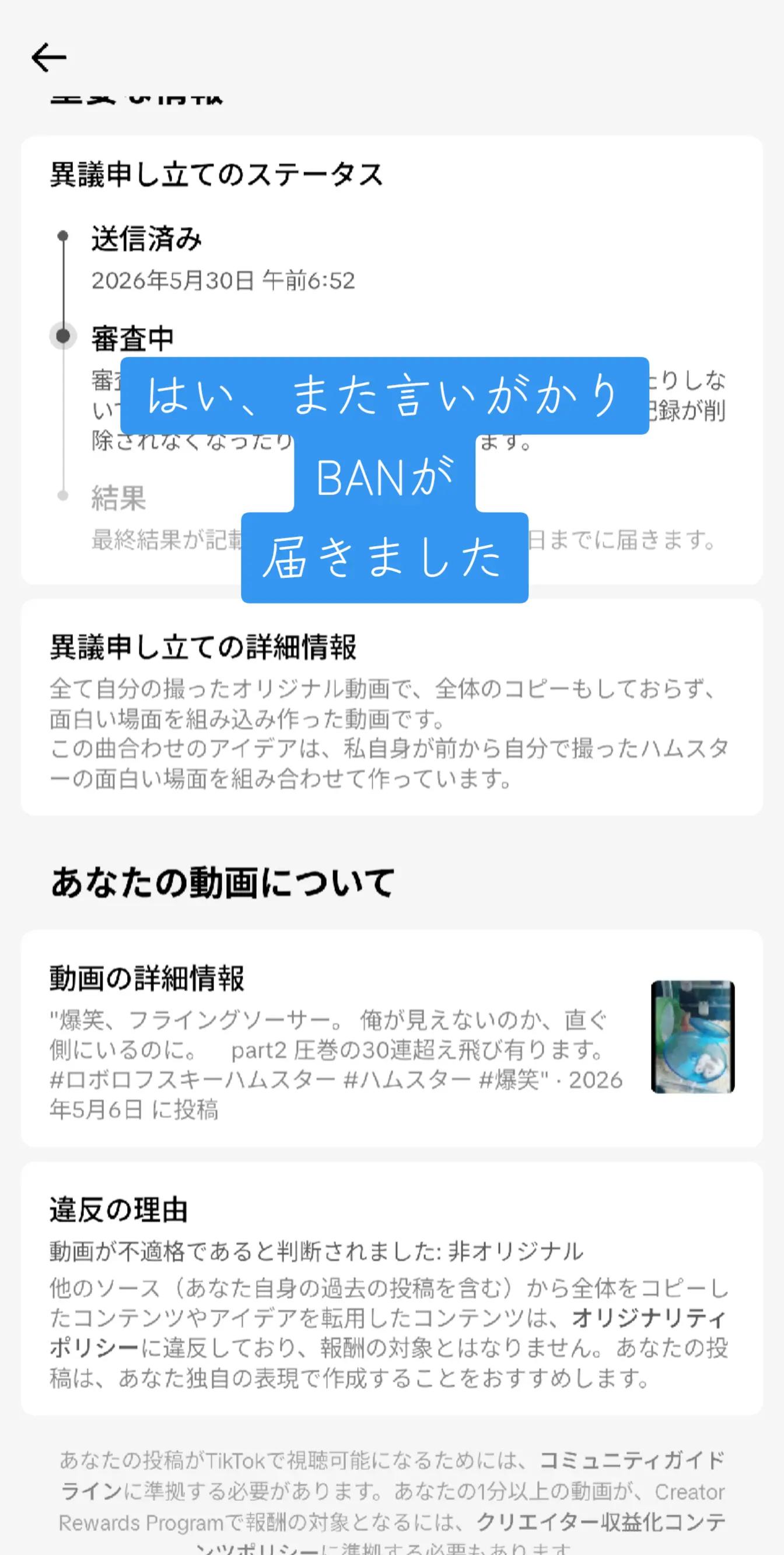 @ハムスター日和