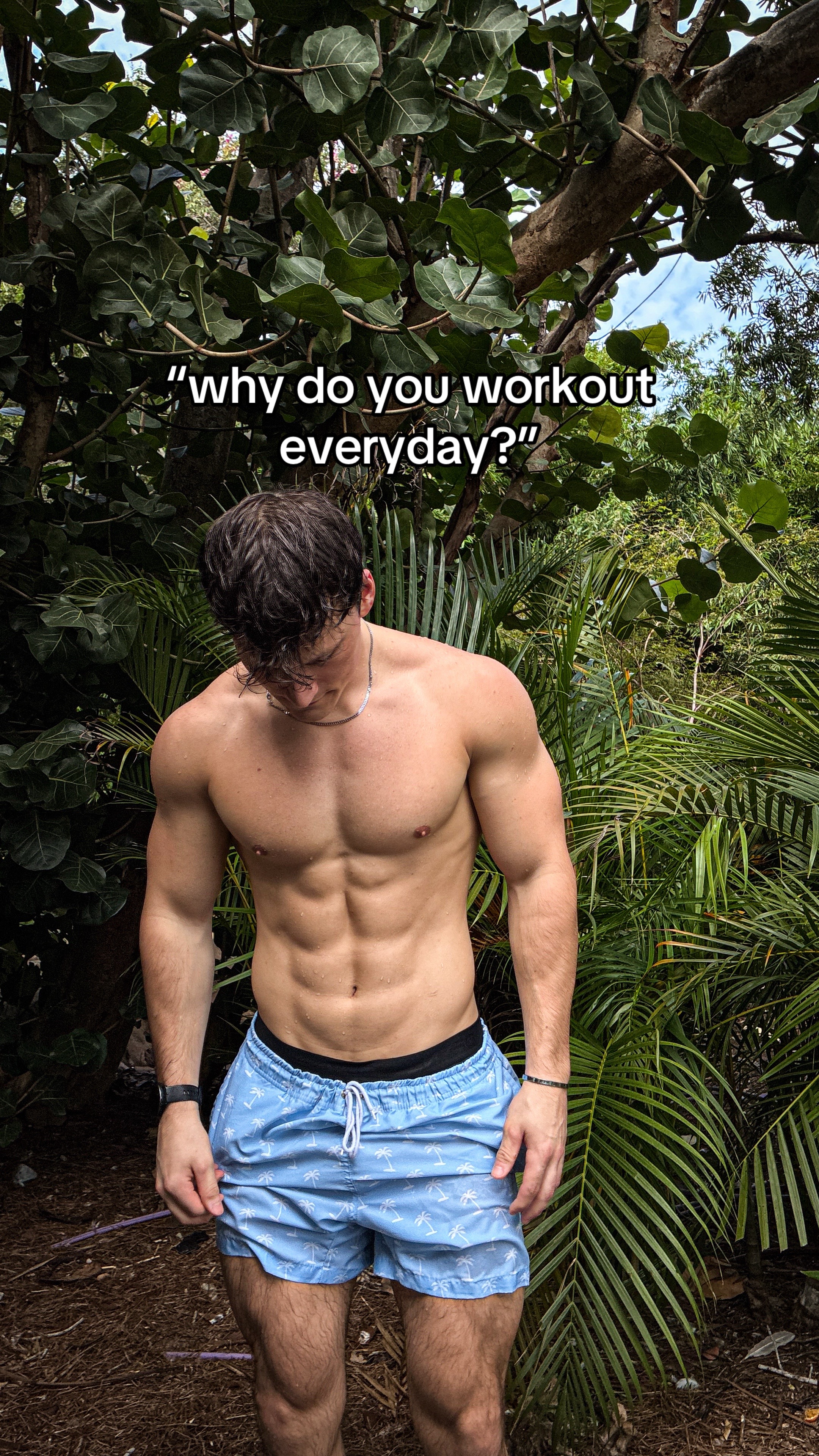@willbfarm