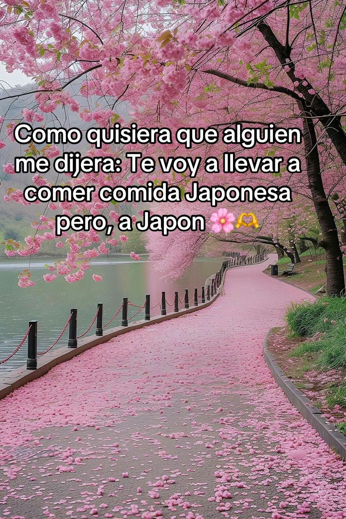 @sandra