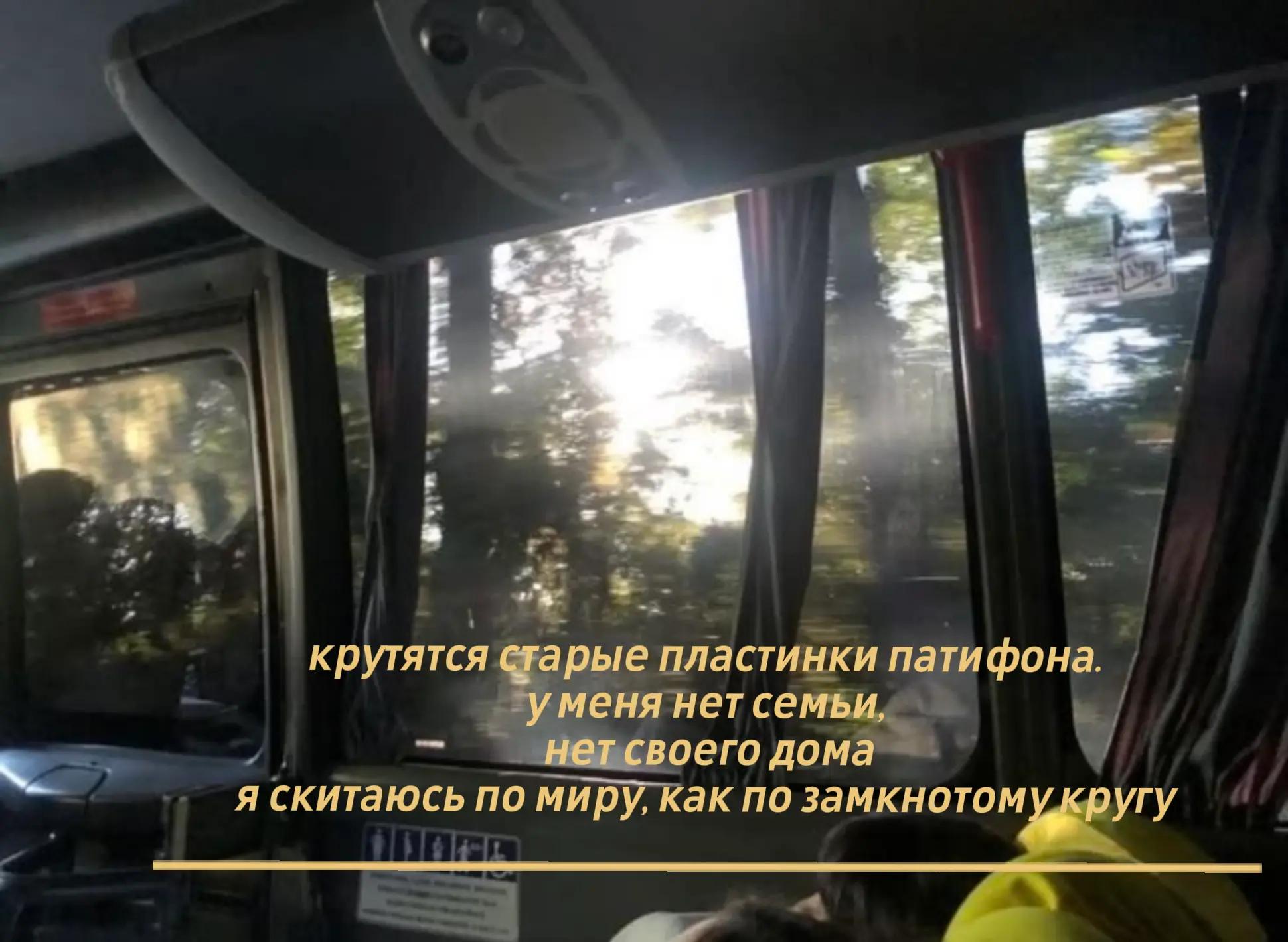 @лупикал