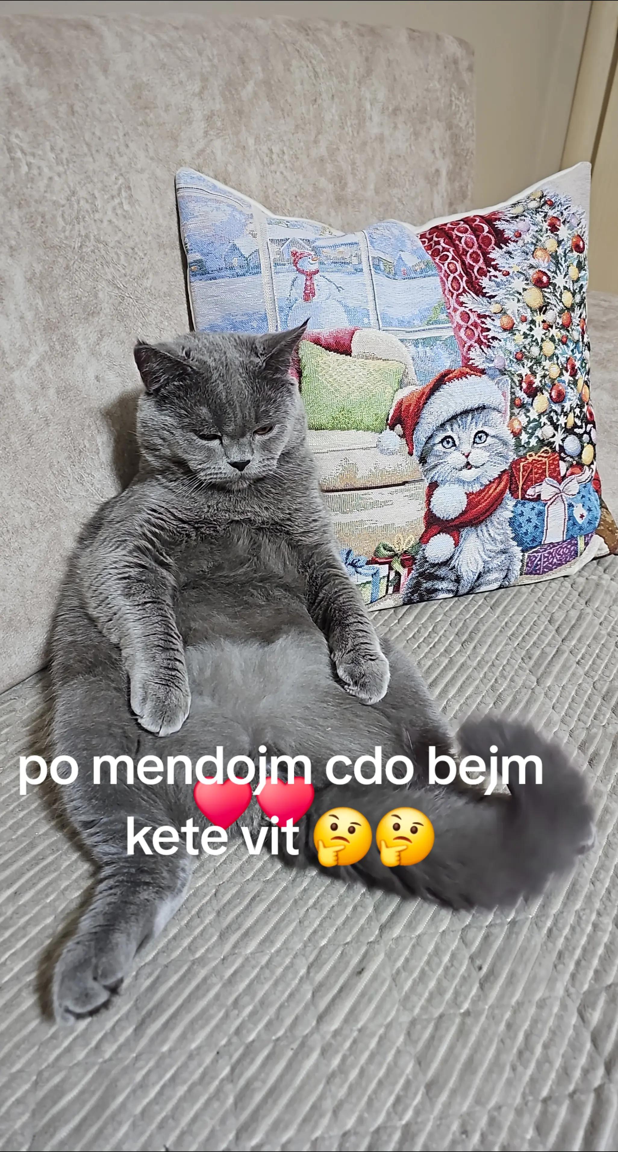 @Evelina Malo