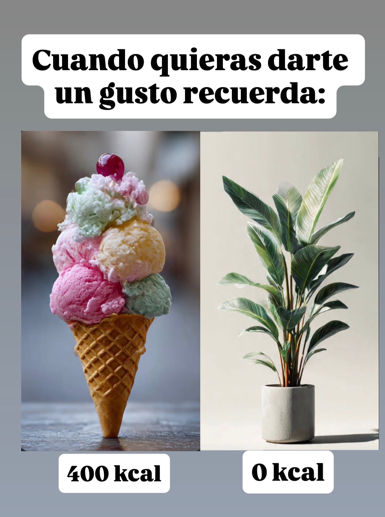 @Greenprincessliveplants