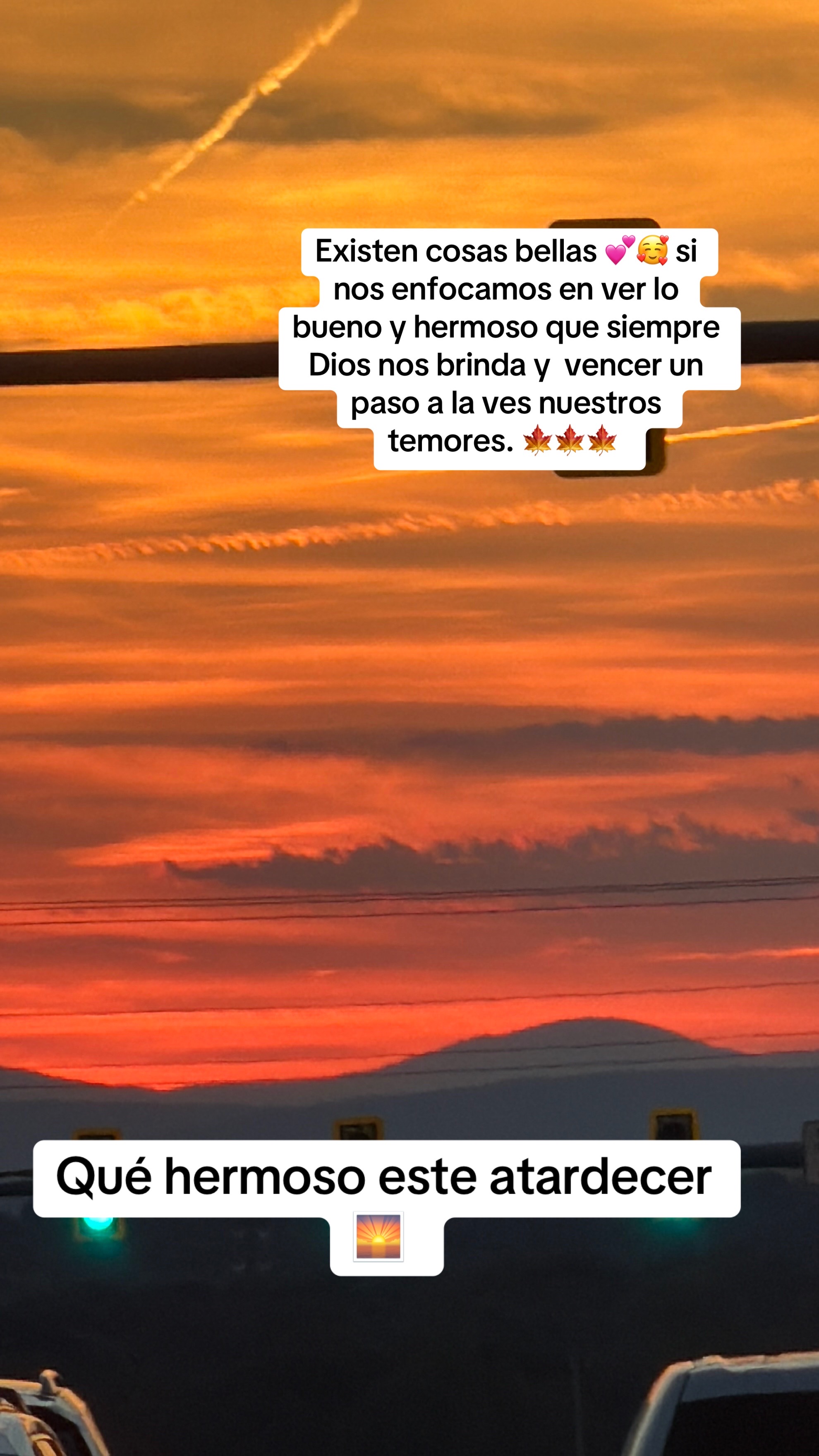 @🍀🦁🧿Yoss 🧿 🦁🍀