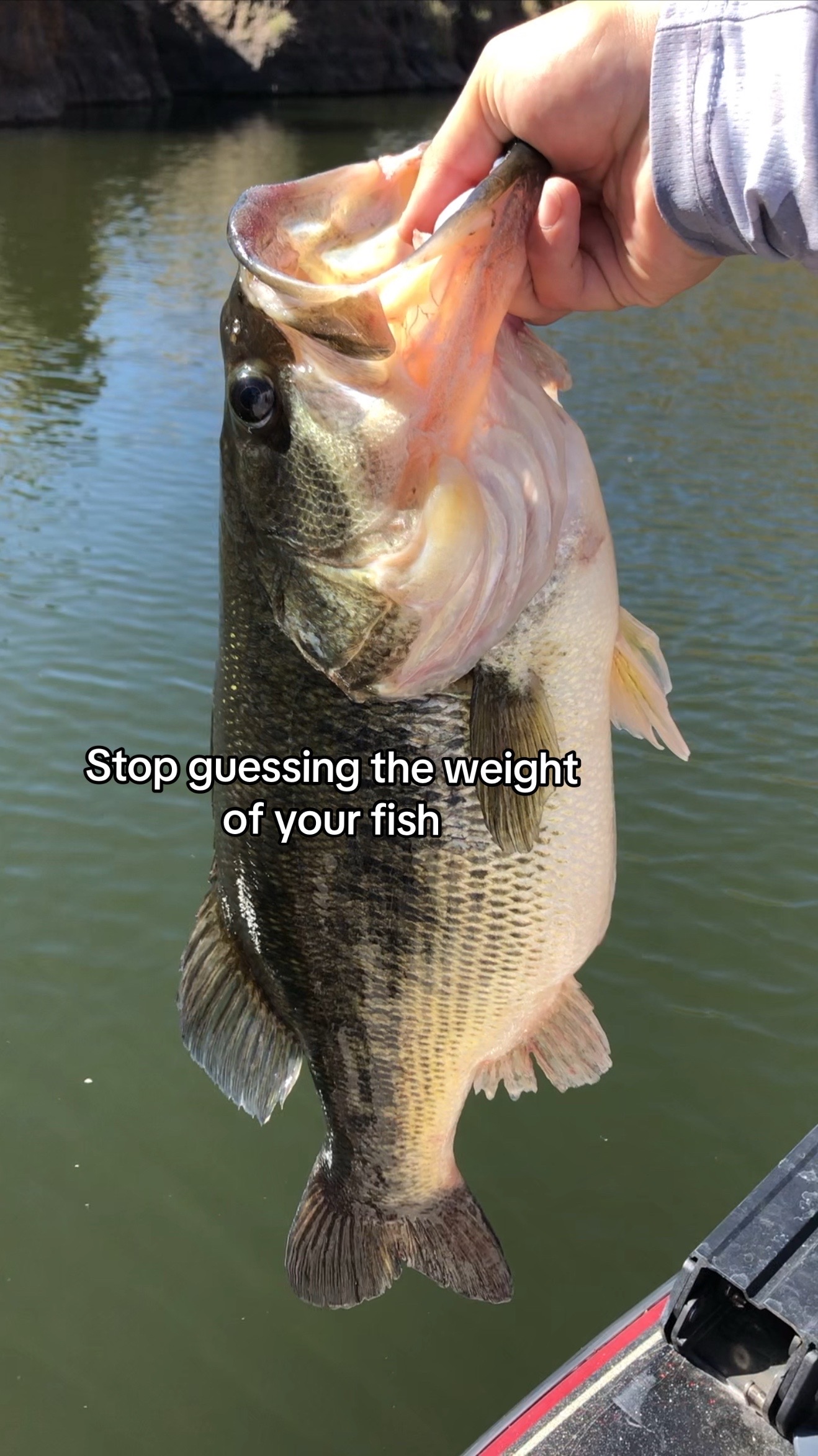 @Sharp Outdoors