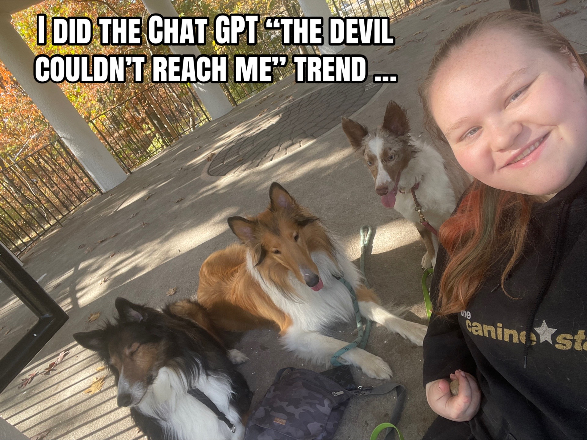 @Dakota & Pups