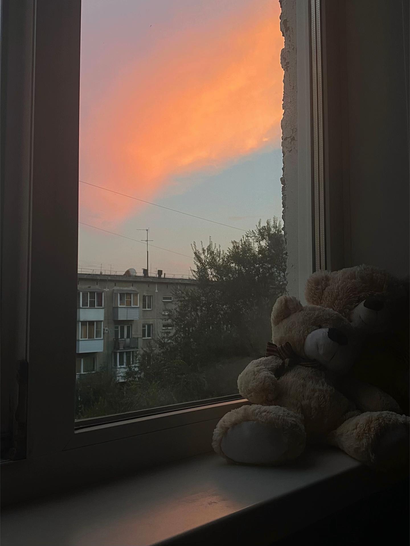 @𝓢𝓱𝓲𝓷𝓮😻