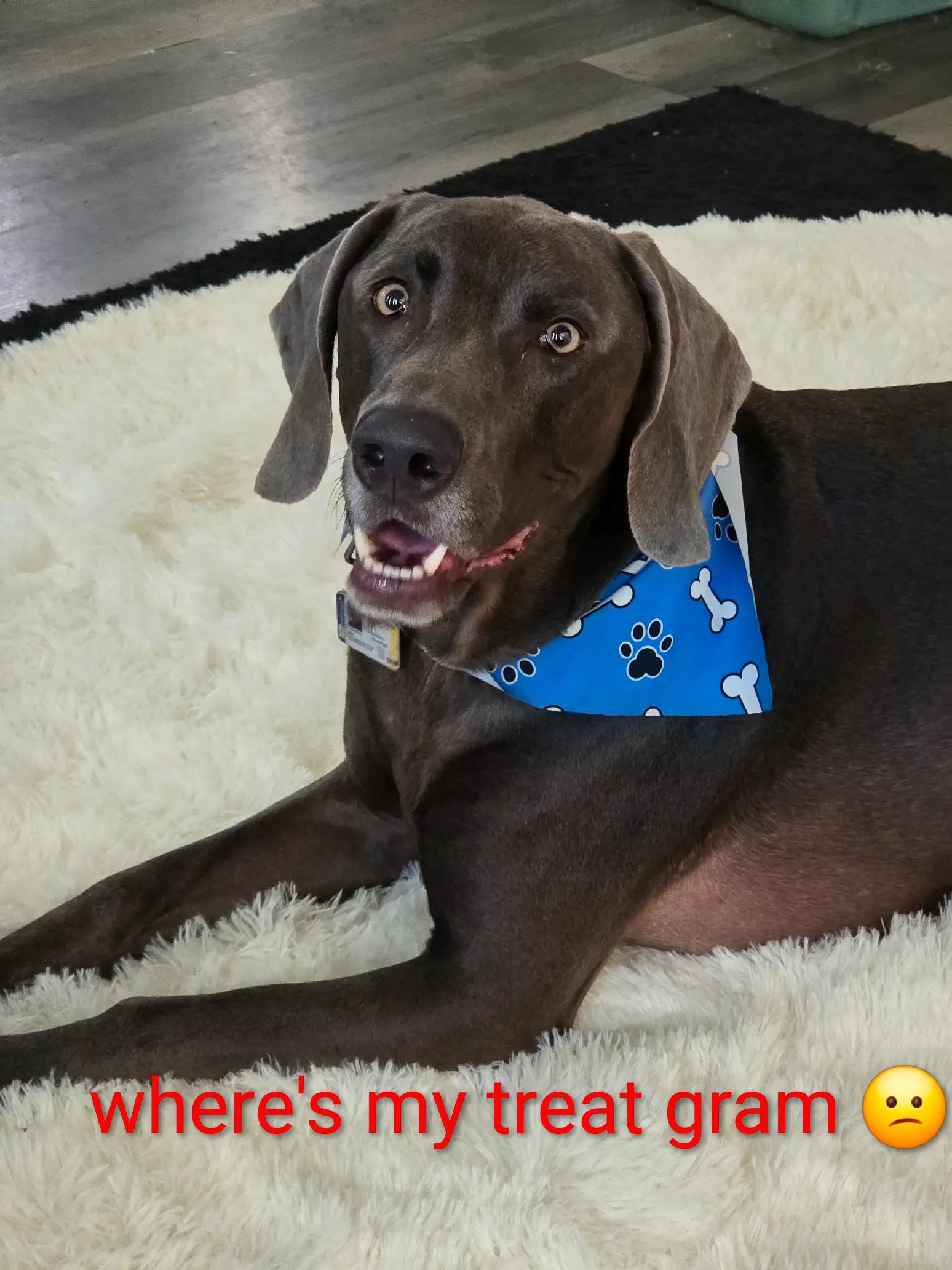 @sandyandjax437