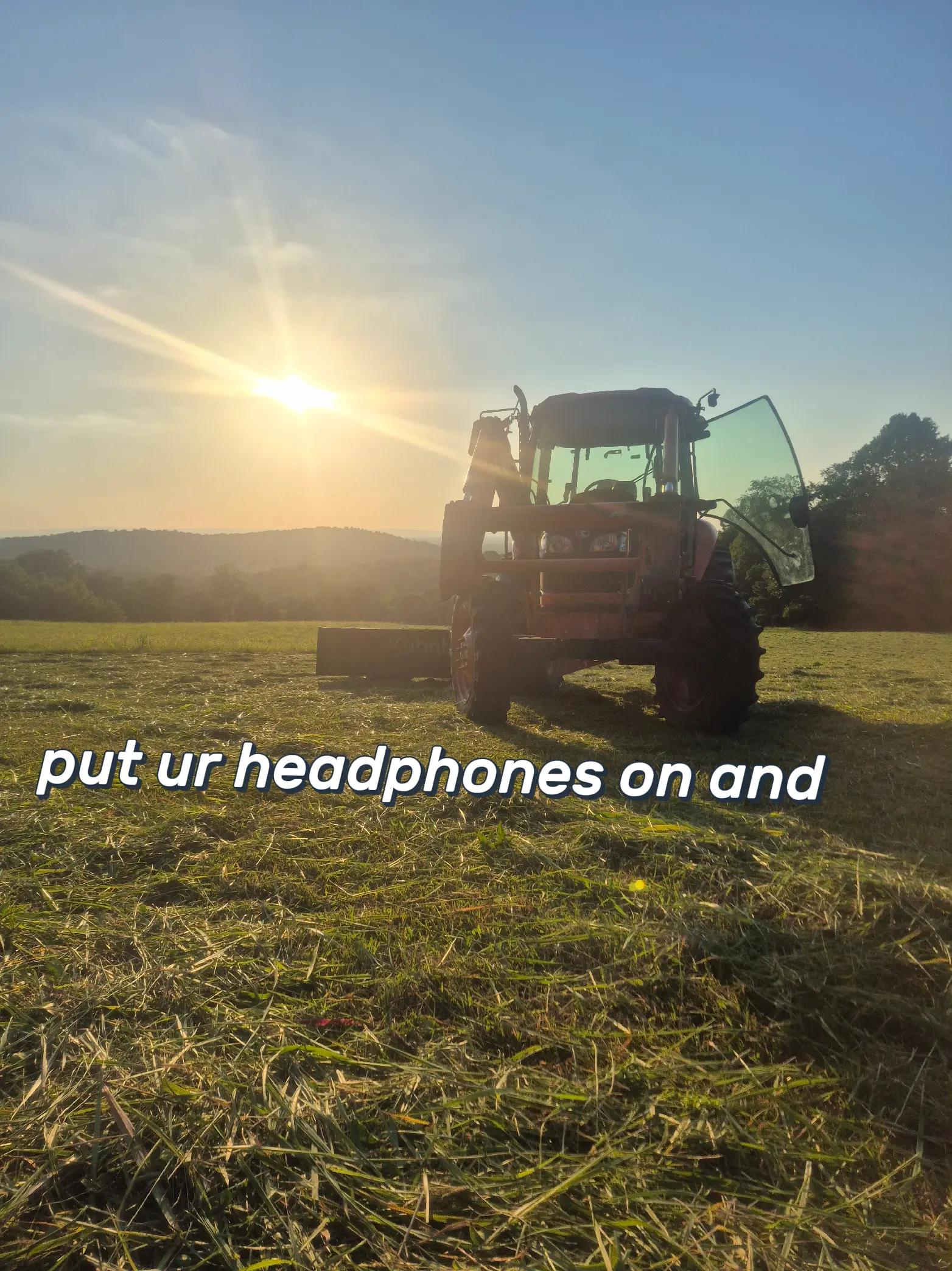@🦆🌾𝓓𝓪𝓶𝓸𝓷🌾🦆