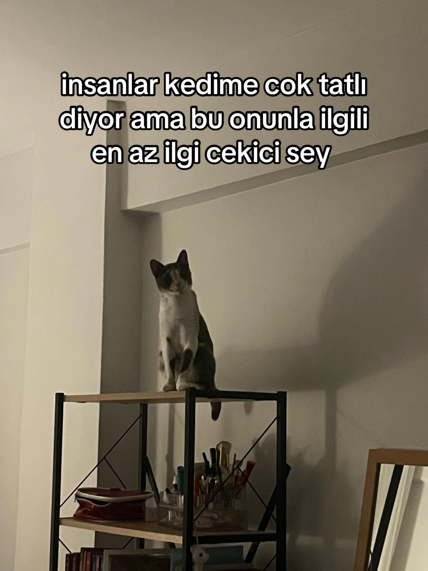 @eda⭐️🪬