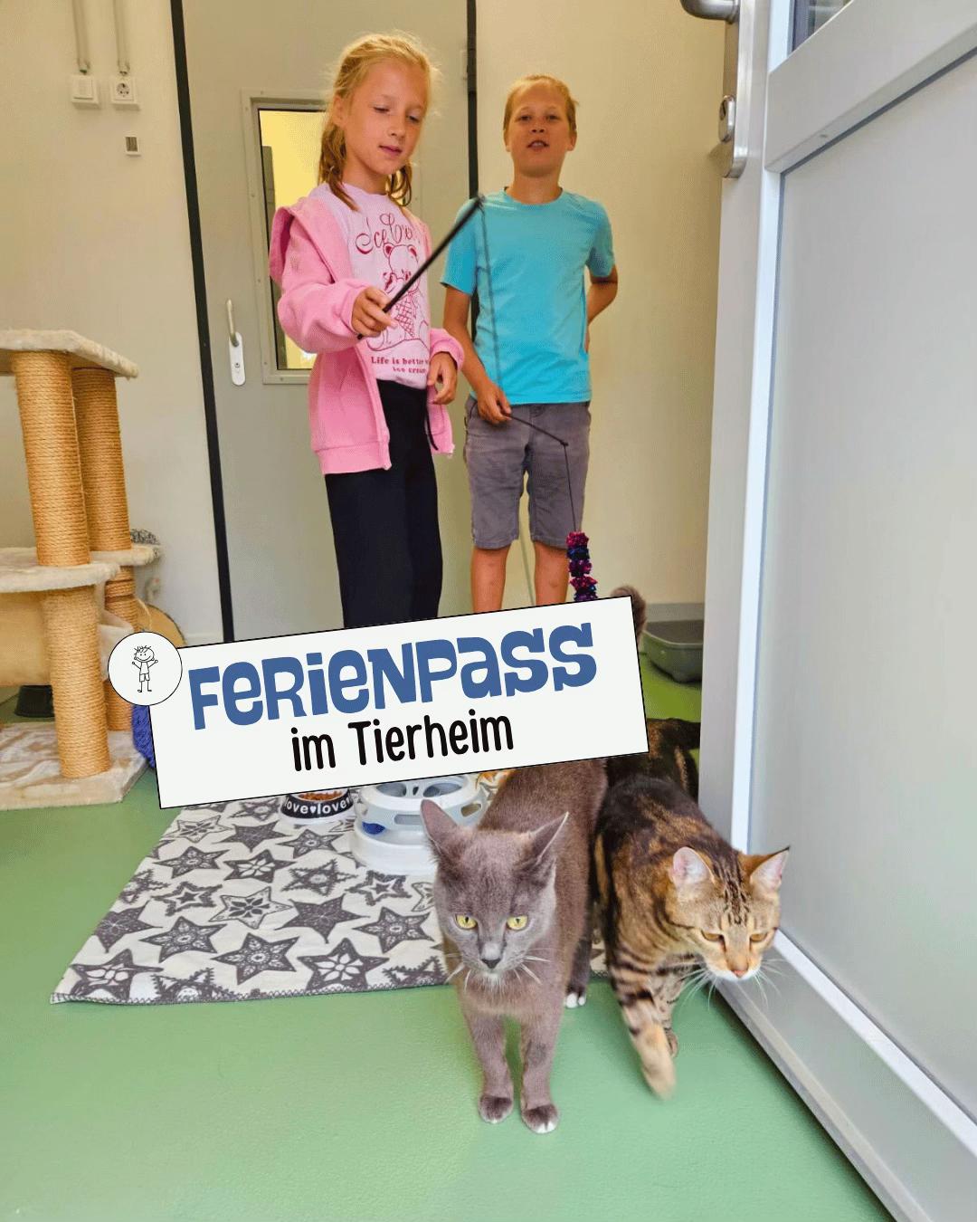 @Tierheim_Bremerhaven