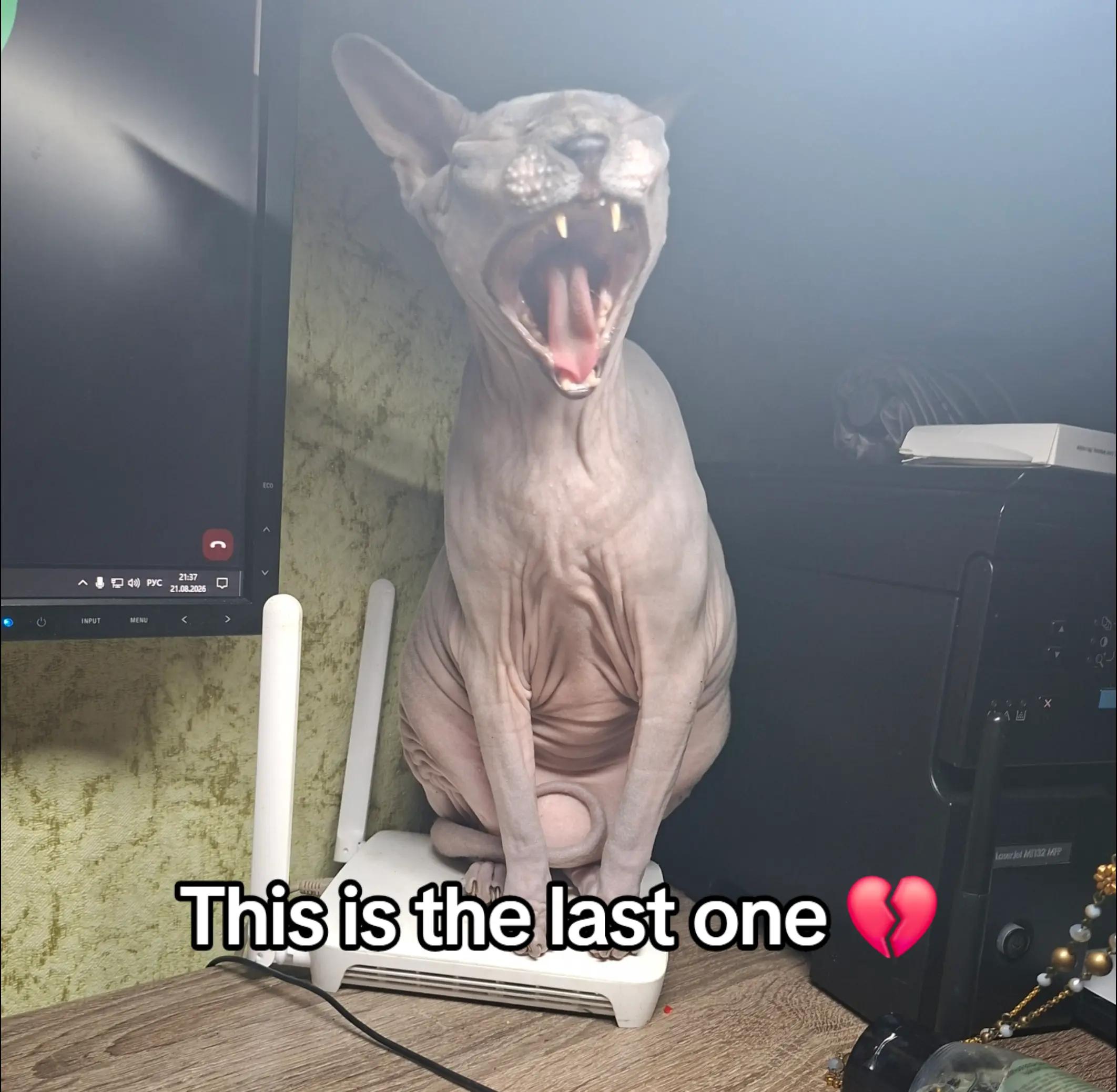 @ебейший💠