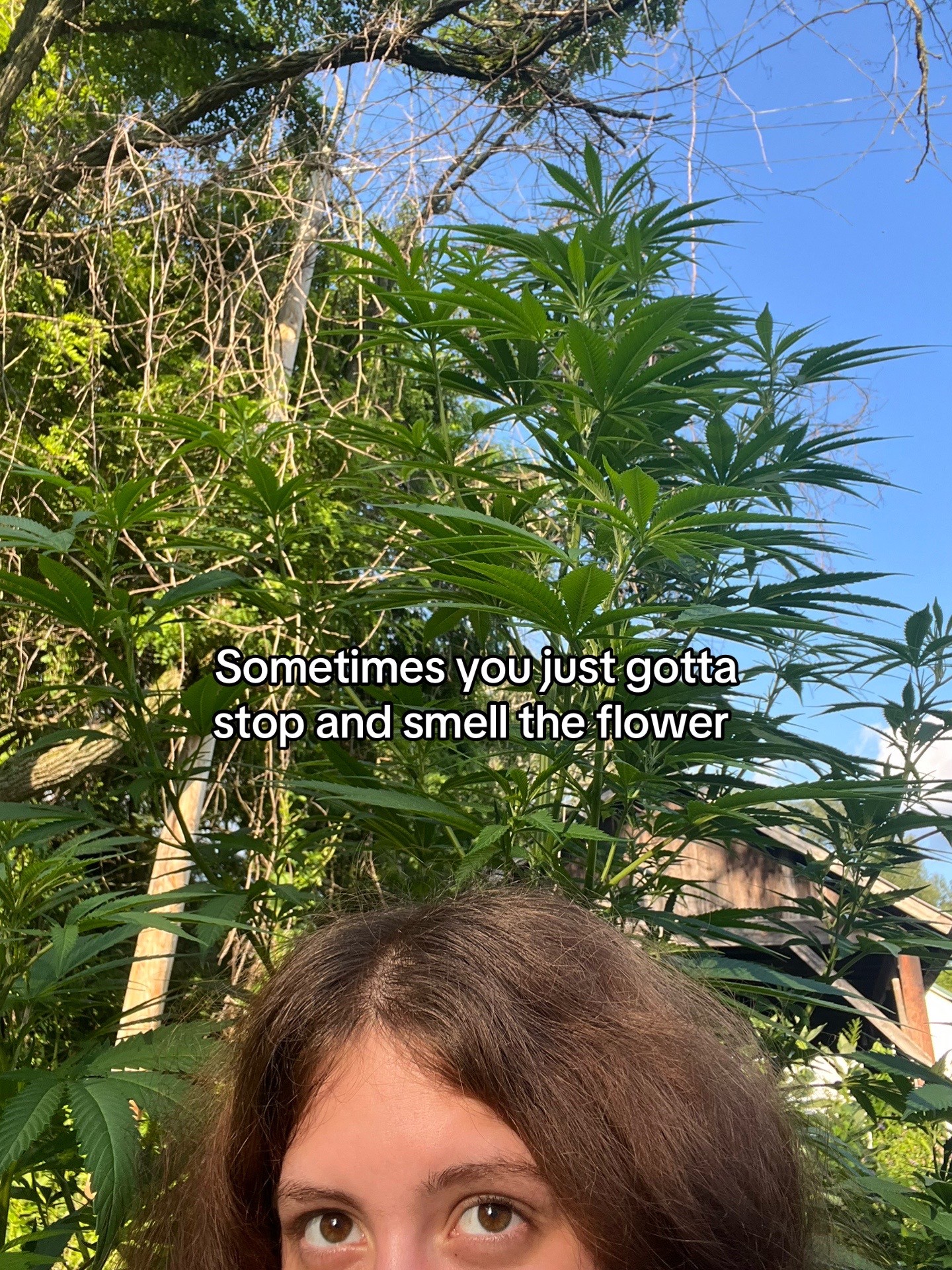 @gouramigrl