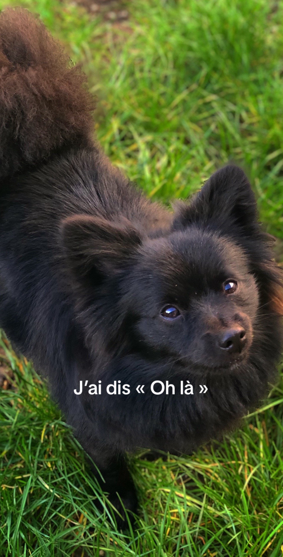 @Zey