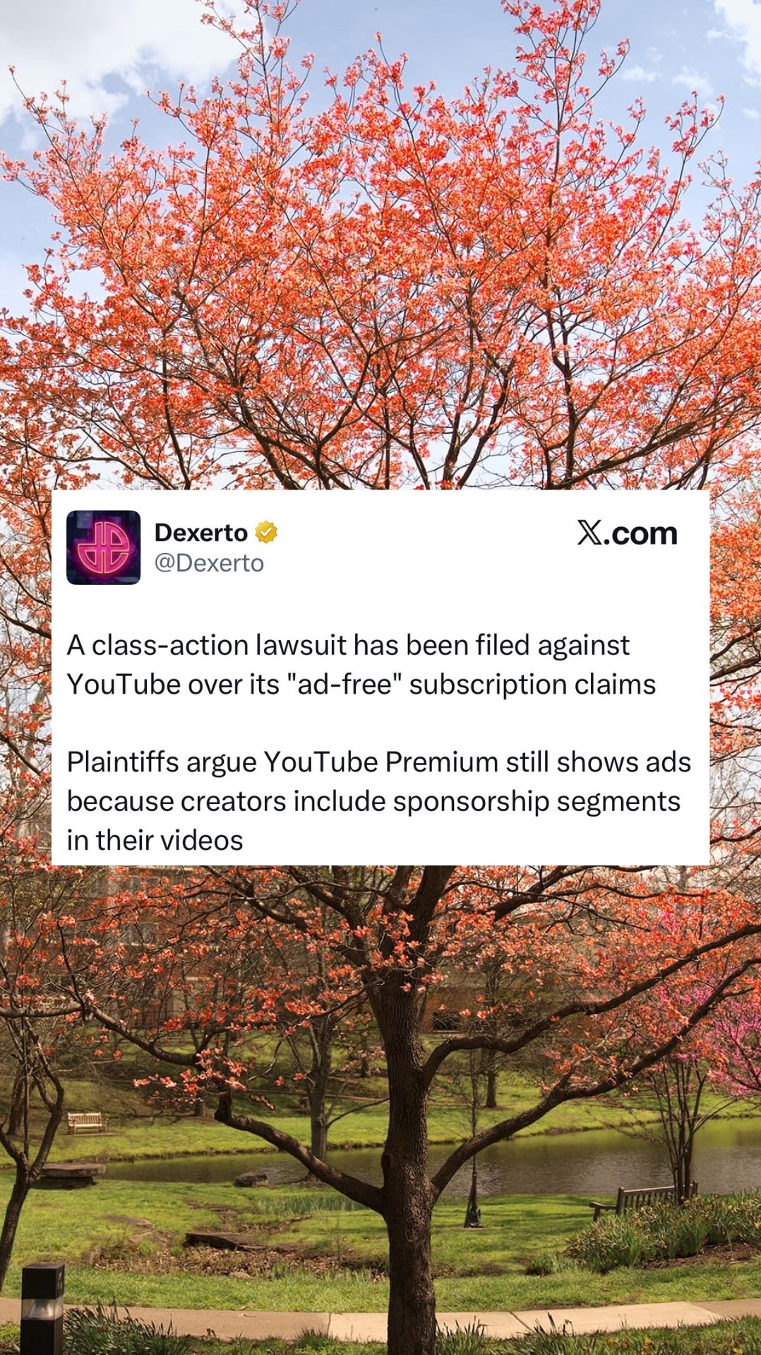 @Brave Browser