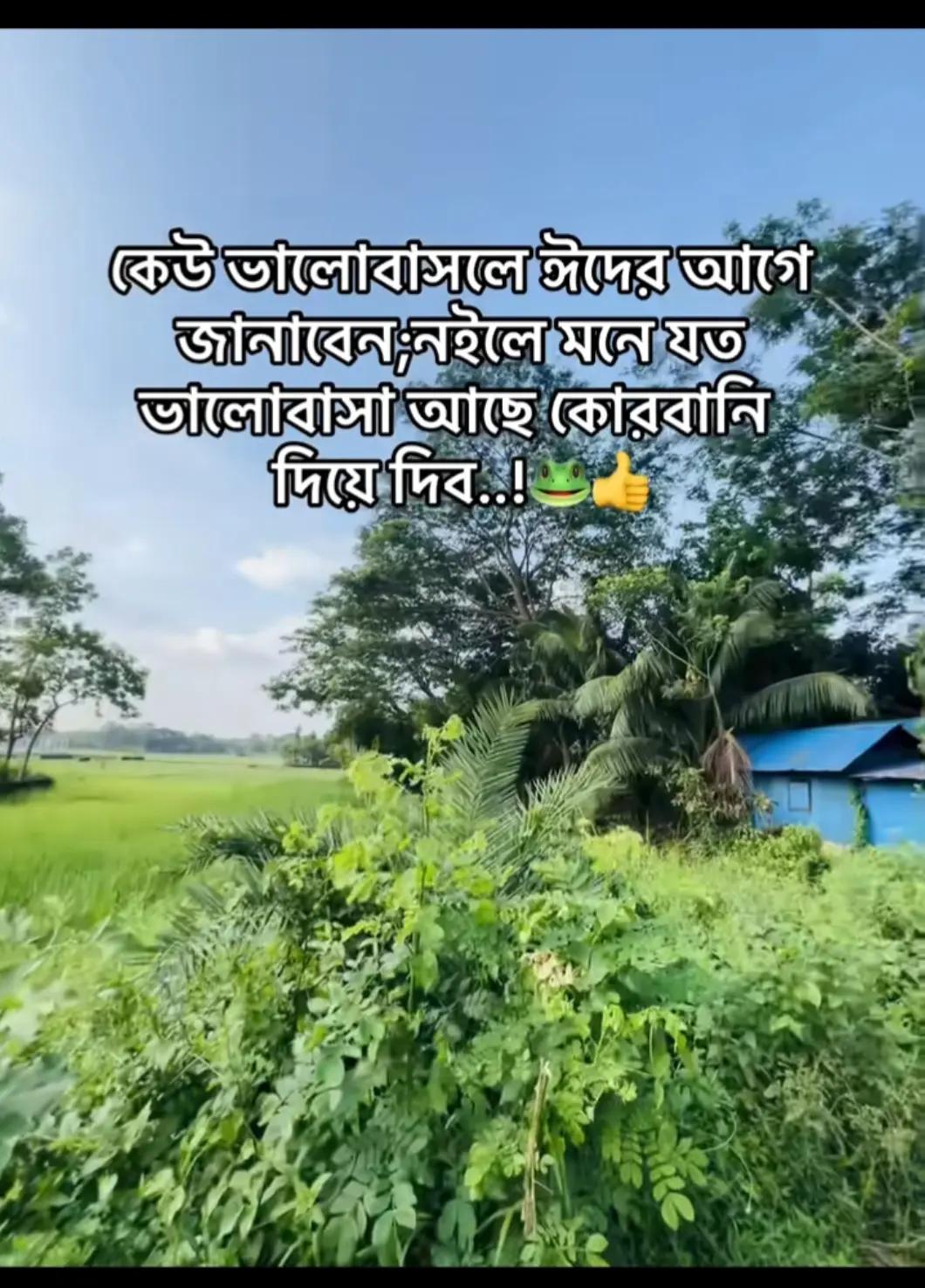 @Ahmed hasan.🕊️✨