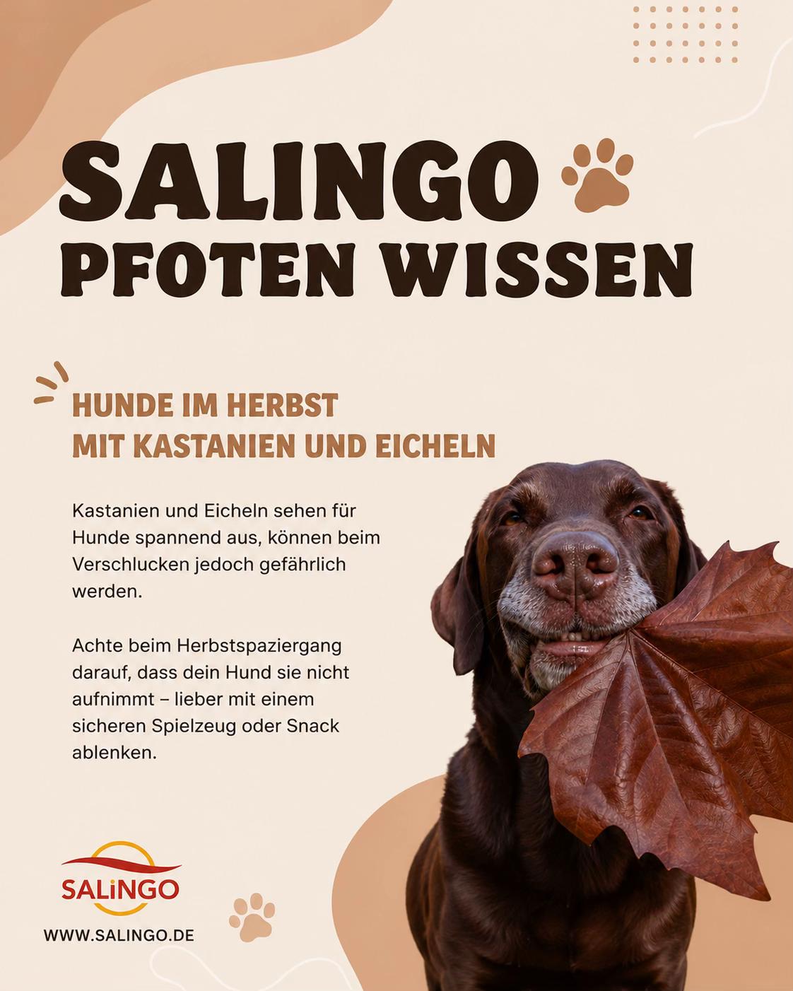 @Salingo