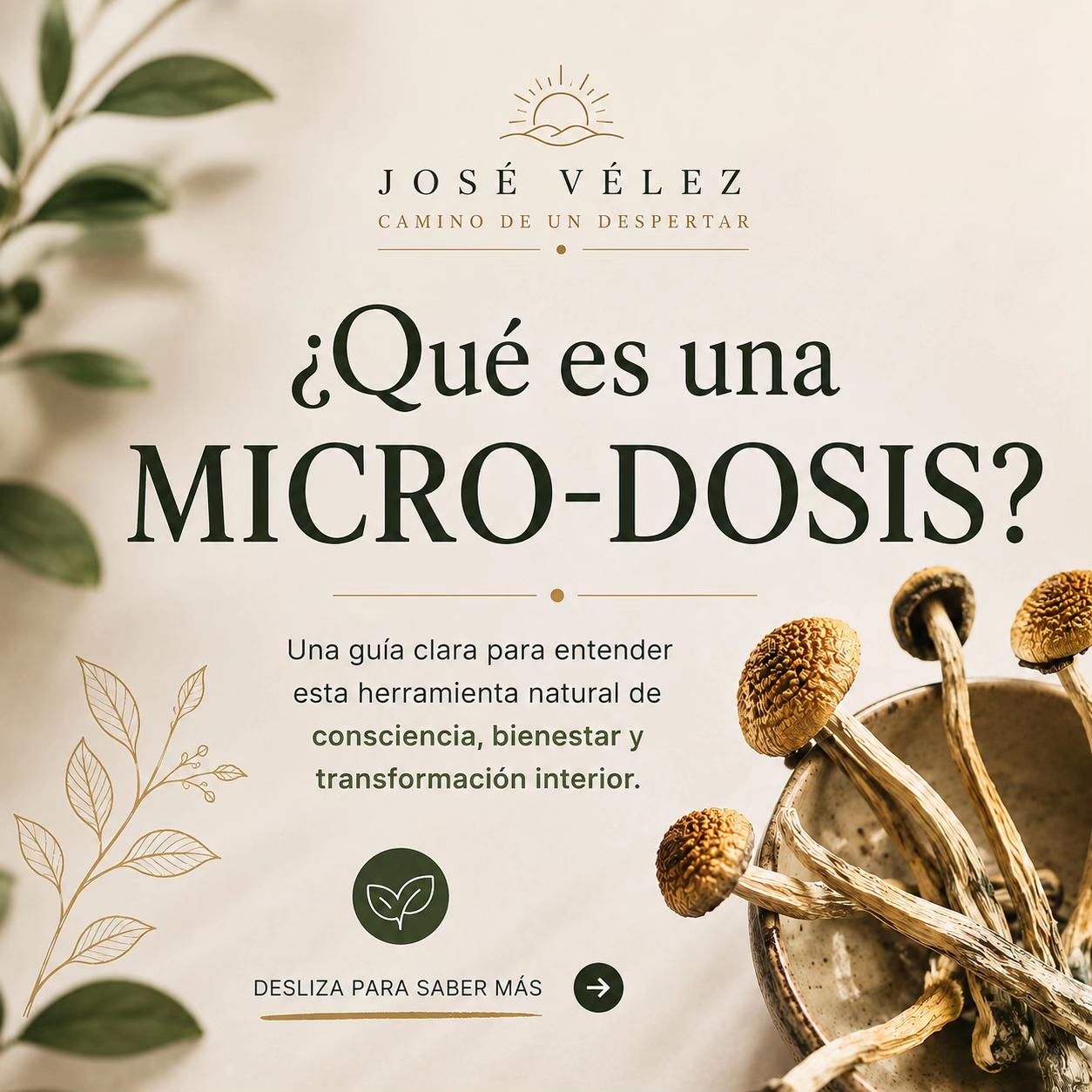 @José Vélez