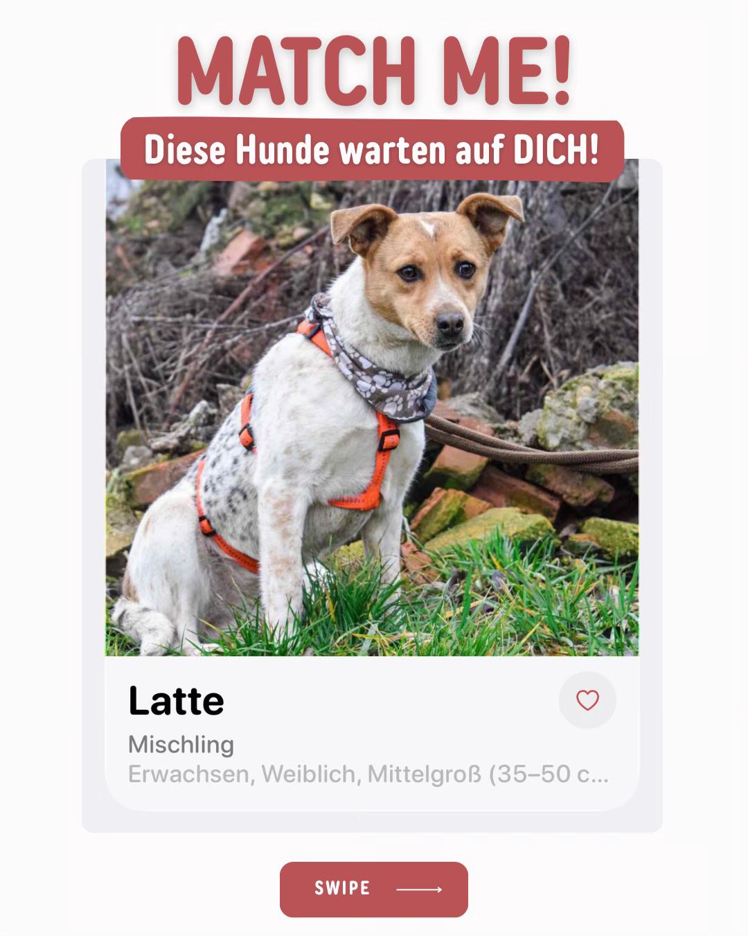 @Petch.Community